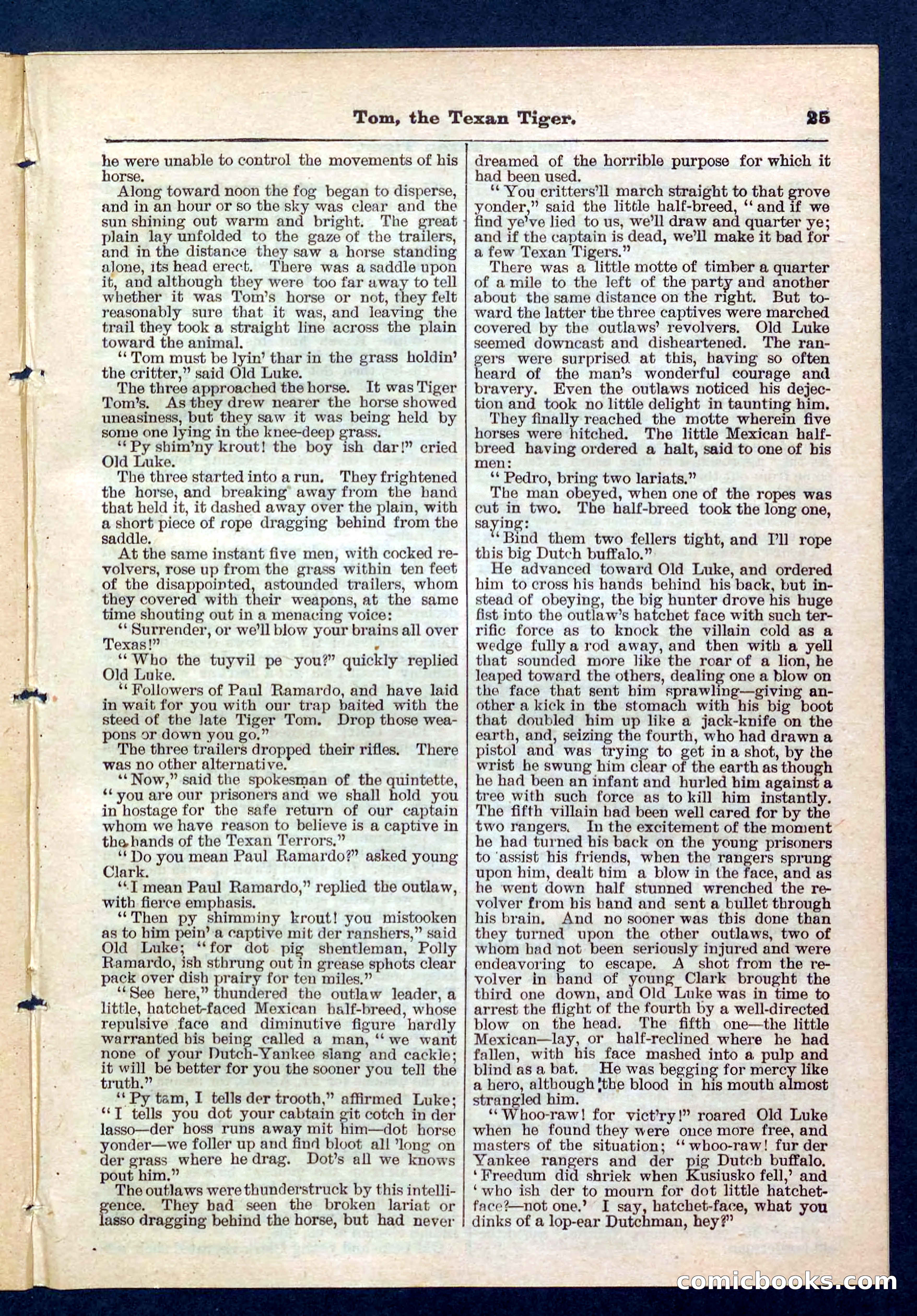 Beadle's Pocket Library No. 202 — page 25 of 32