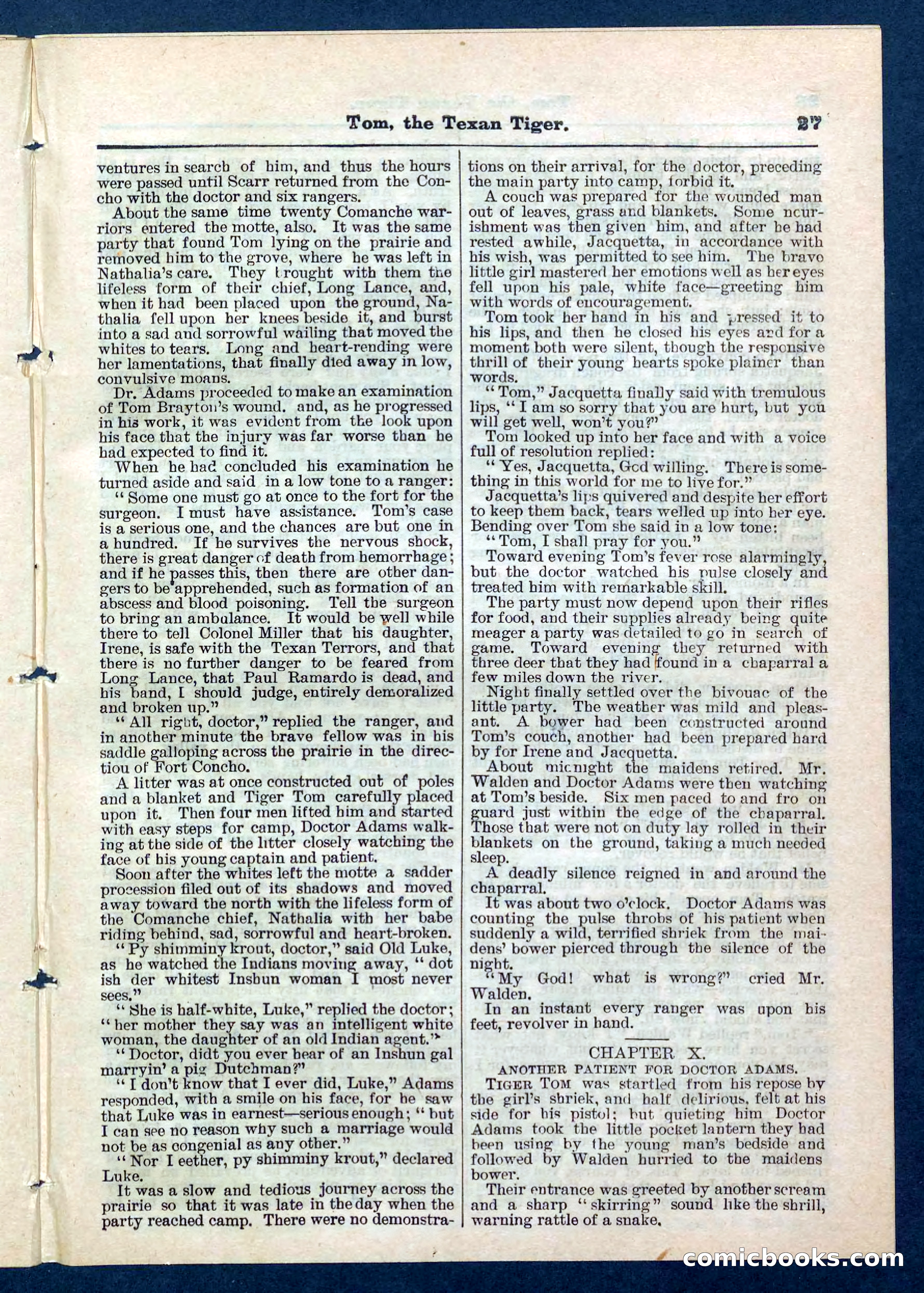 Beadle's Pocket Library No. 202 — page 27 of 32