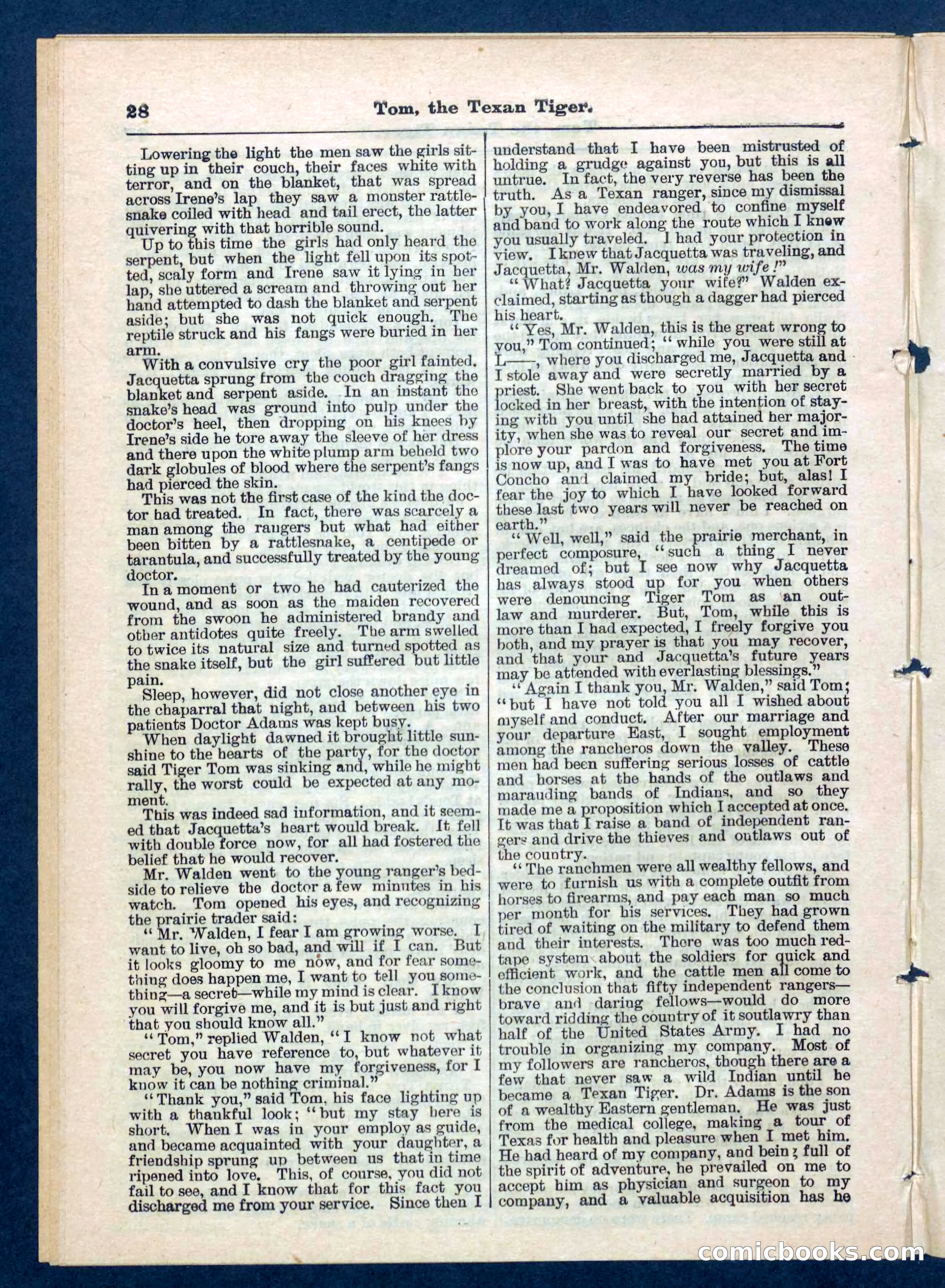 Beadle's Pocket Library No. 202 — page 28 of 32