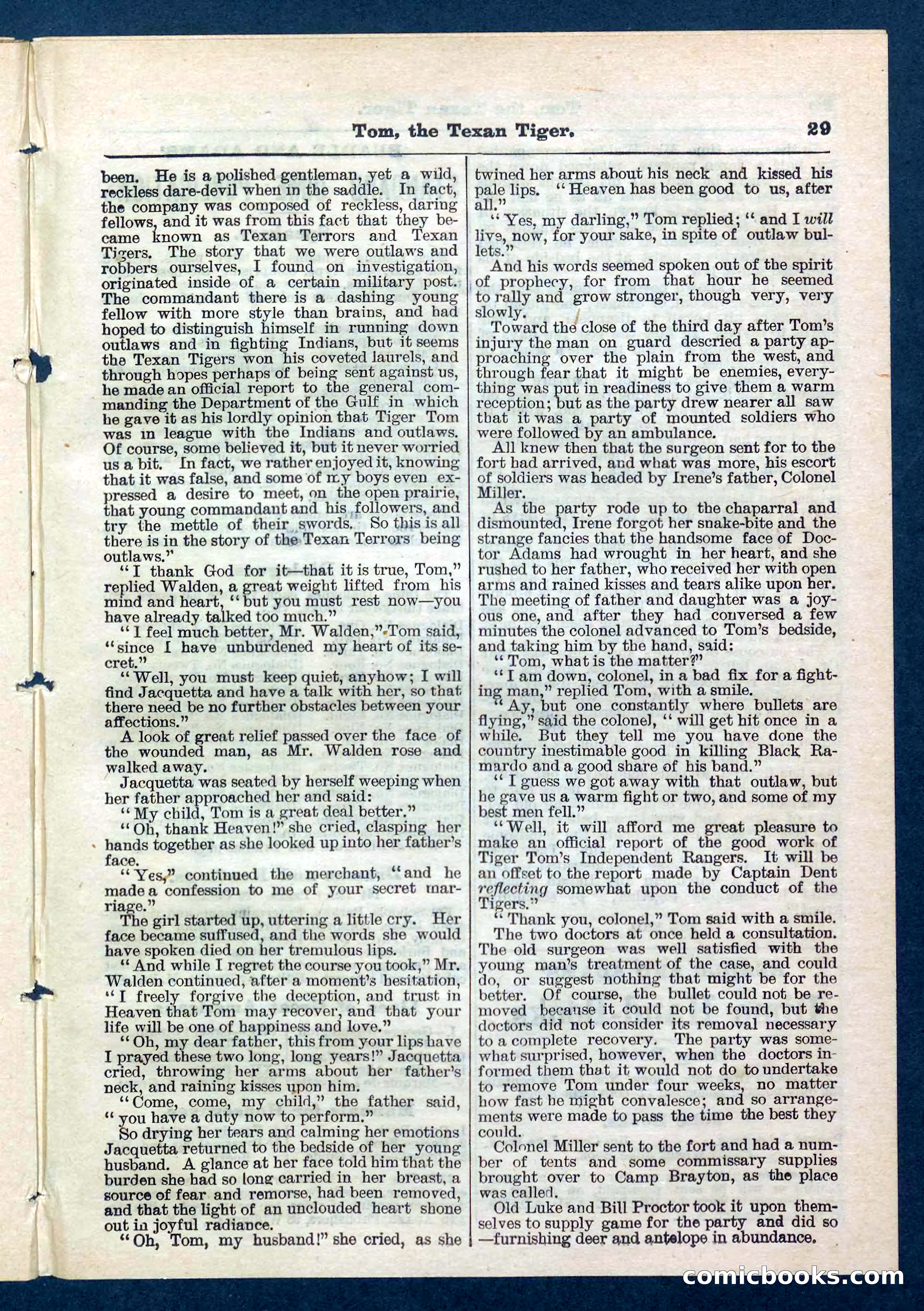Beadle's Pocket Library No. 202 — page 29 of 32
