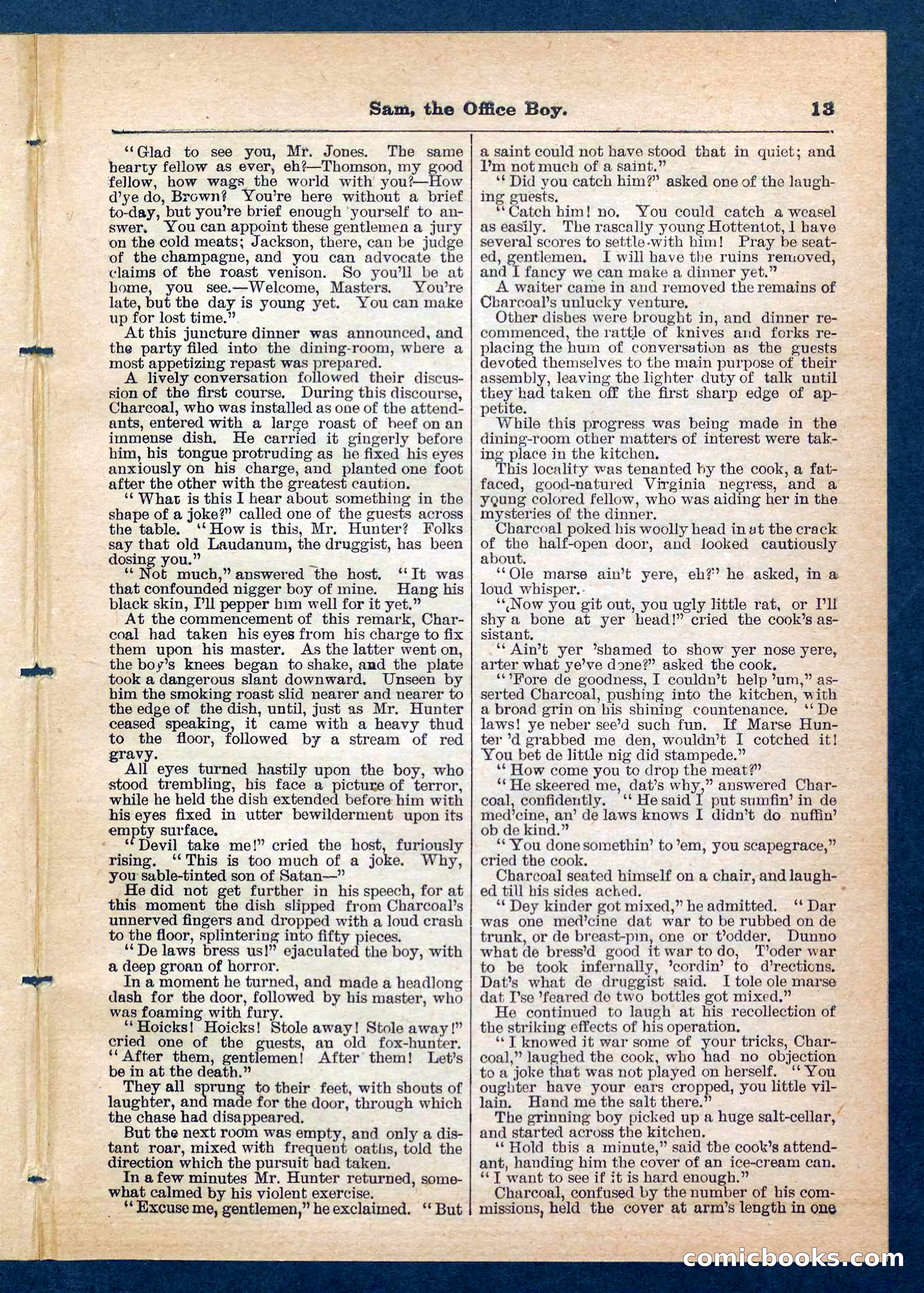 Beadle's Pocket Library, No. 203 — page 13 of 32