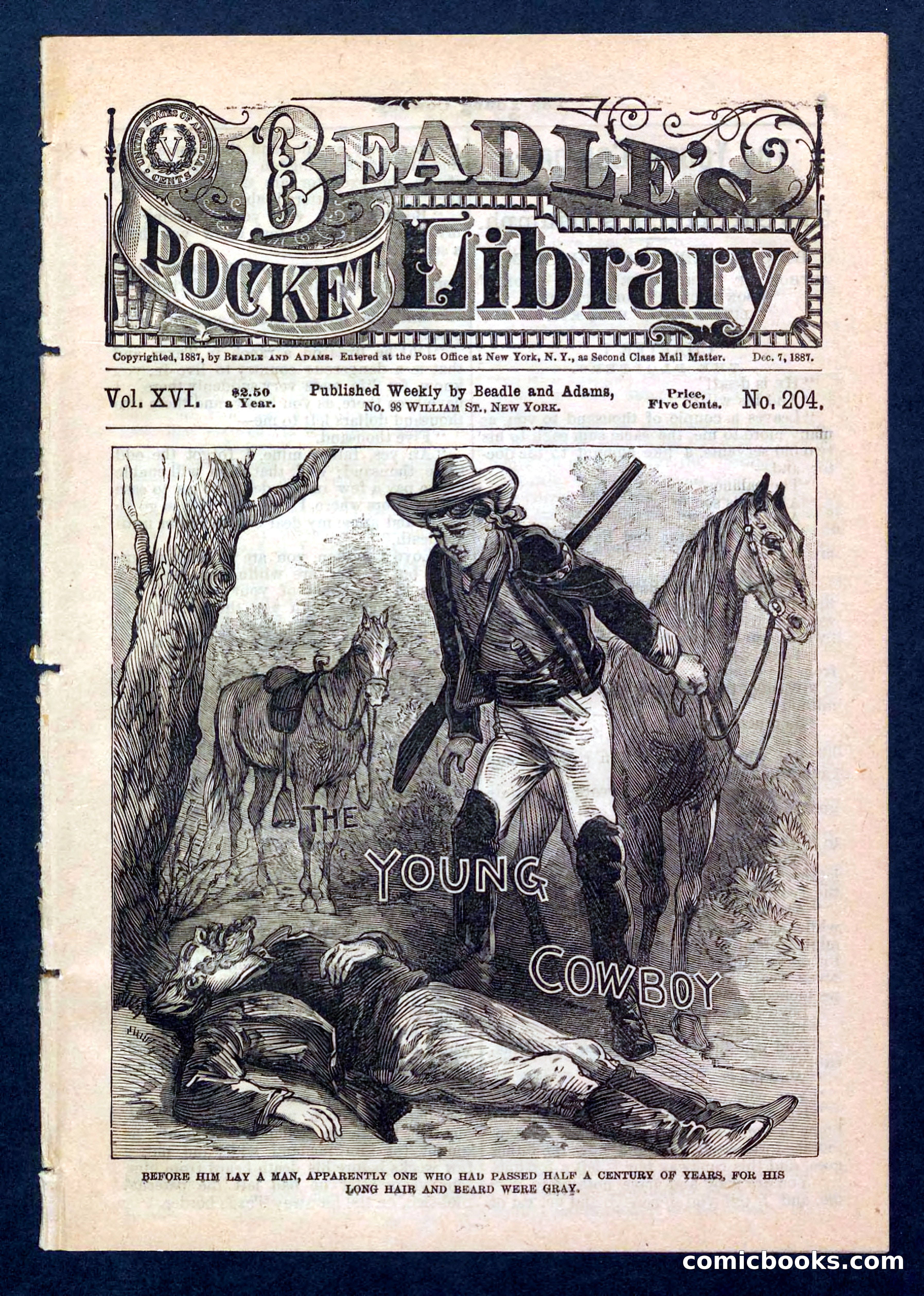 Beadle's Pocket Library, No. 204 — page 1 of 32