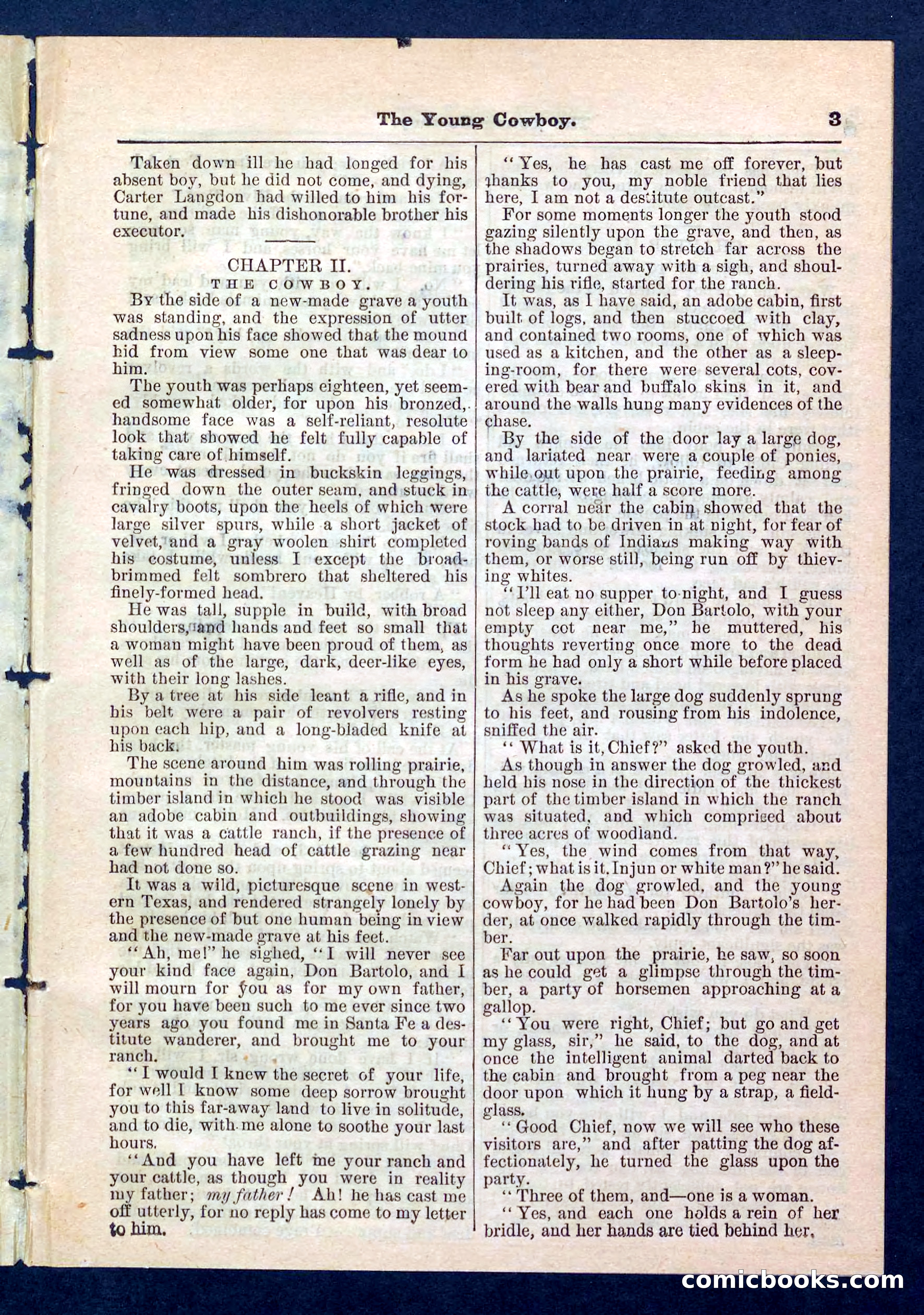 Beadle's Pocket Library, No. 204 — page 3 of 32