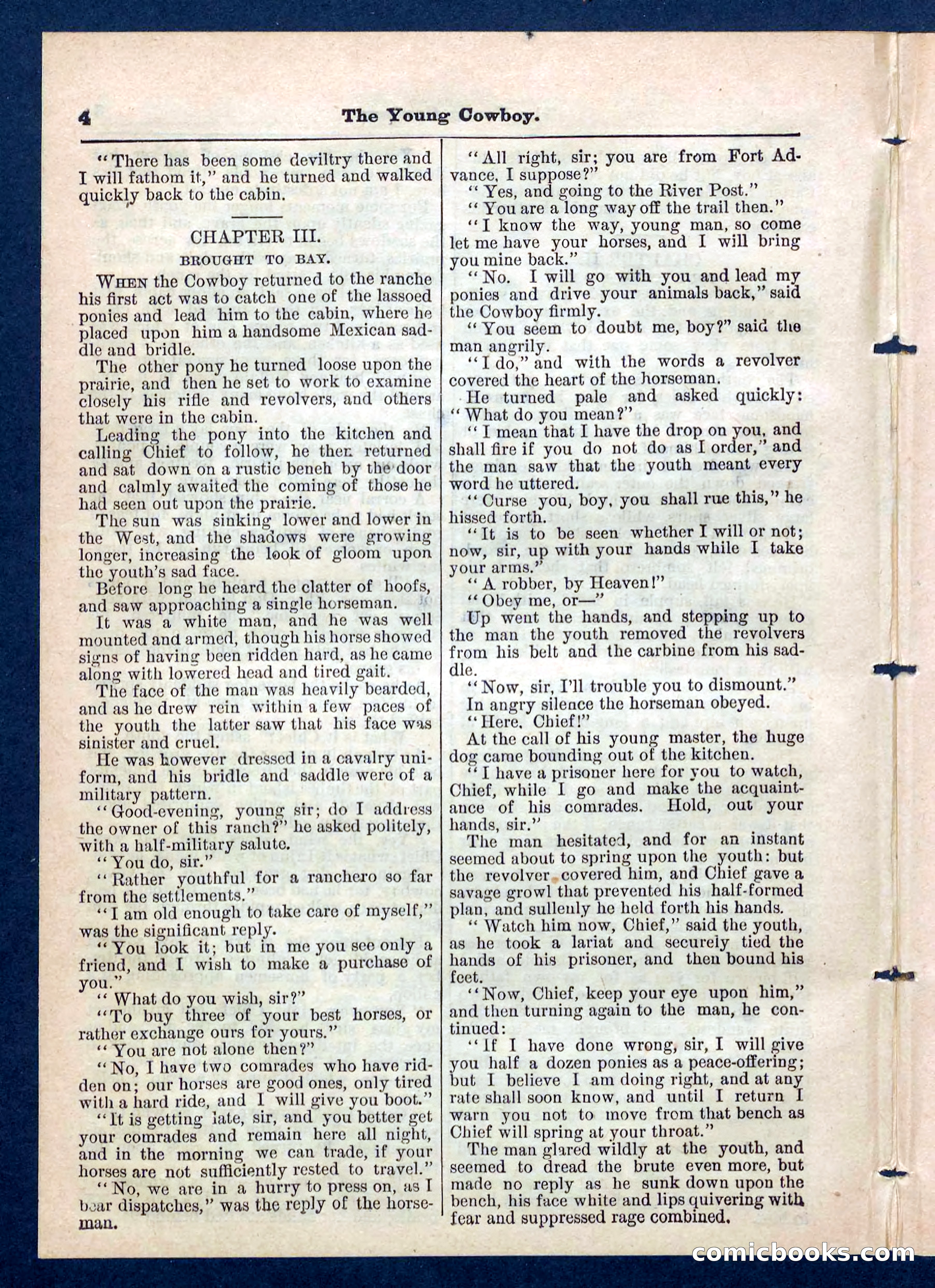 Beadle's Pocket Library, No. 204 — page 4 of 32