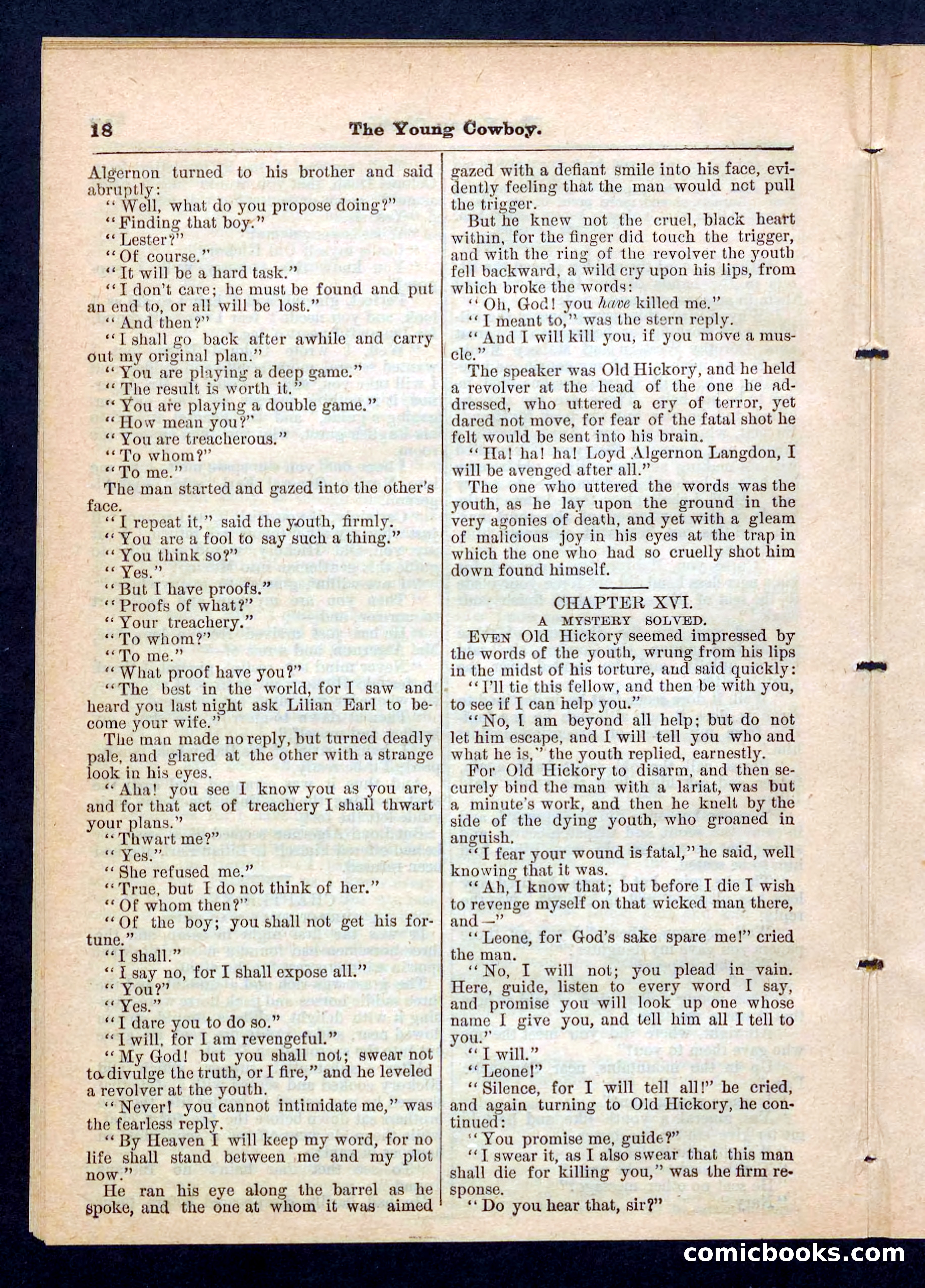 Beadle's Pocket Library, No. 204 — page 18 of 32