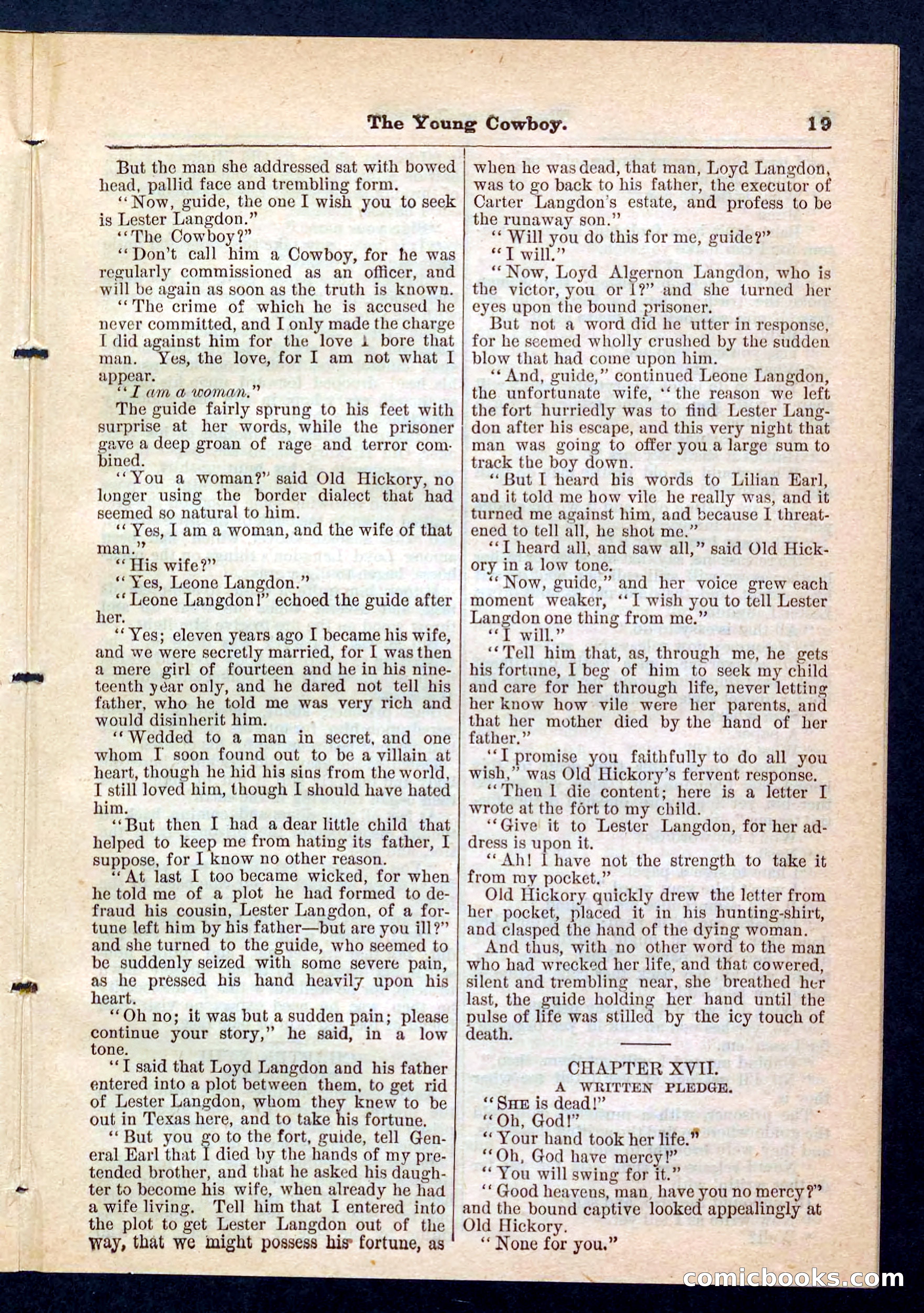 Beadle's Pocket Library, No. 204 — page 19 of 32