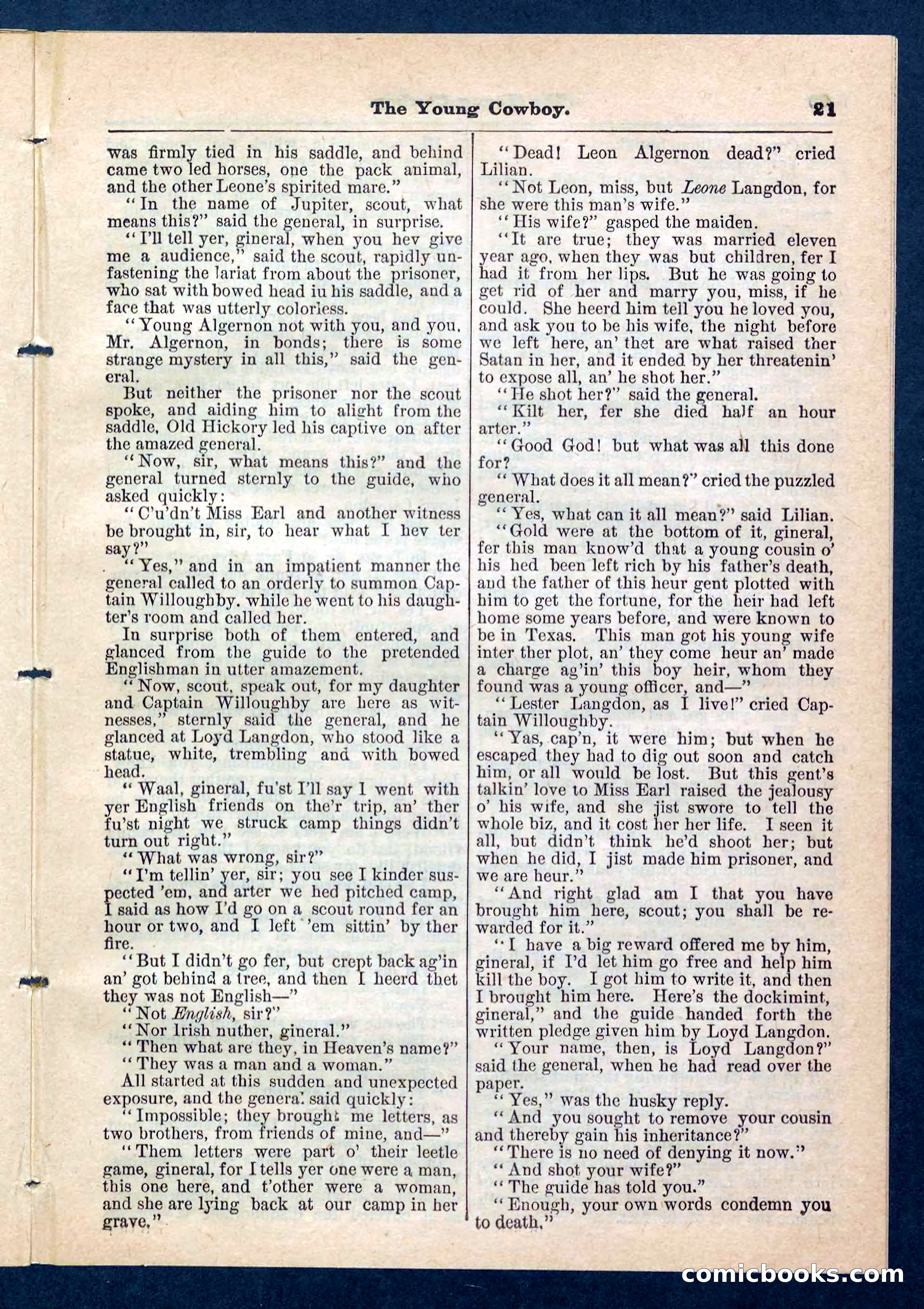Beadle's Pocket Library, No. 204 — page 21 of 32