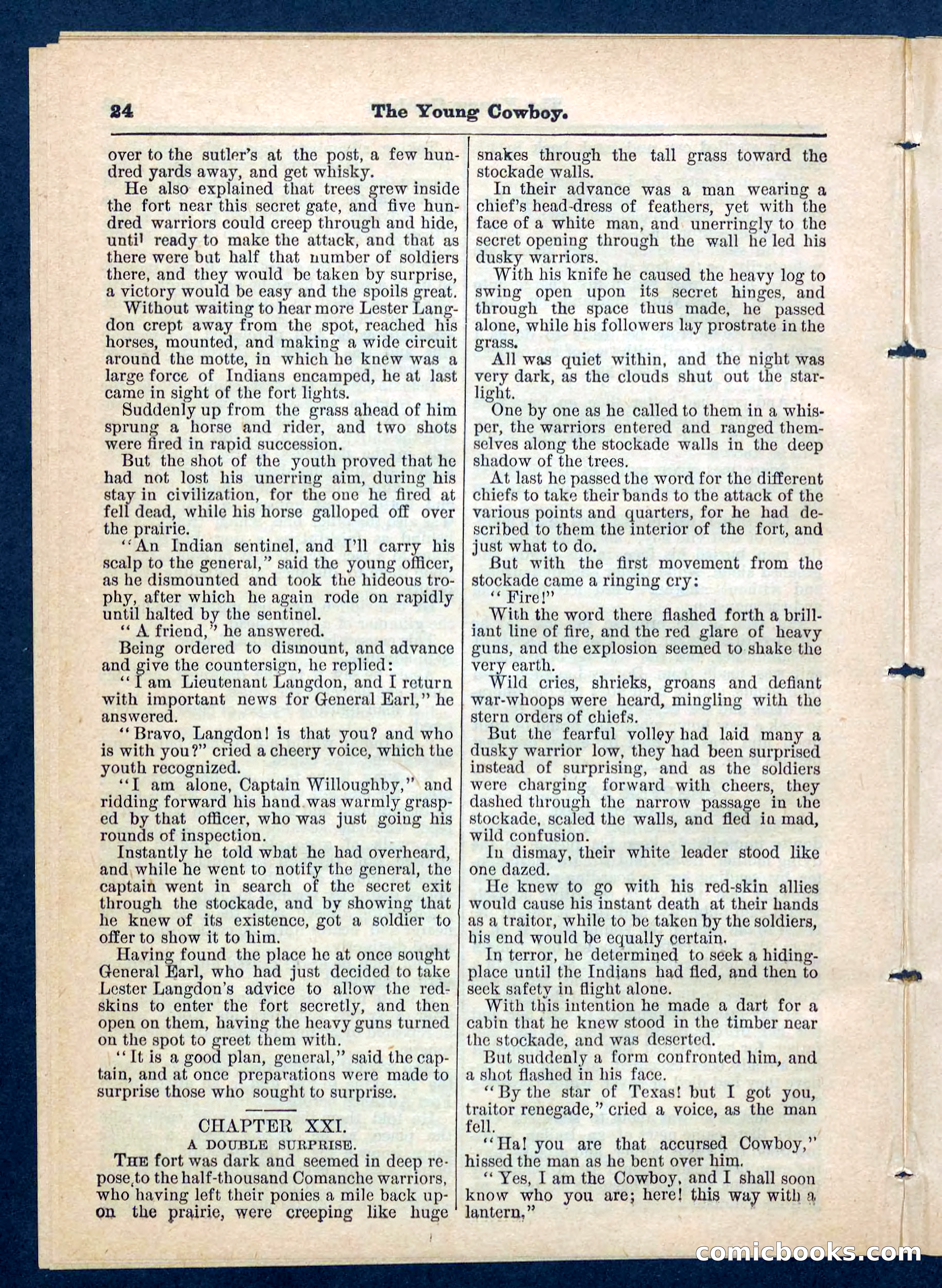 Beadle's Pocket Library, No. 204 — page 24 of 32