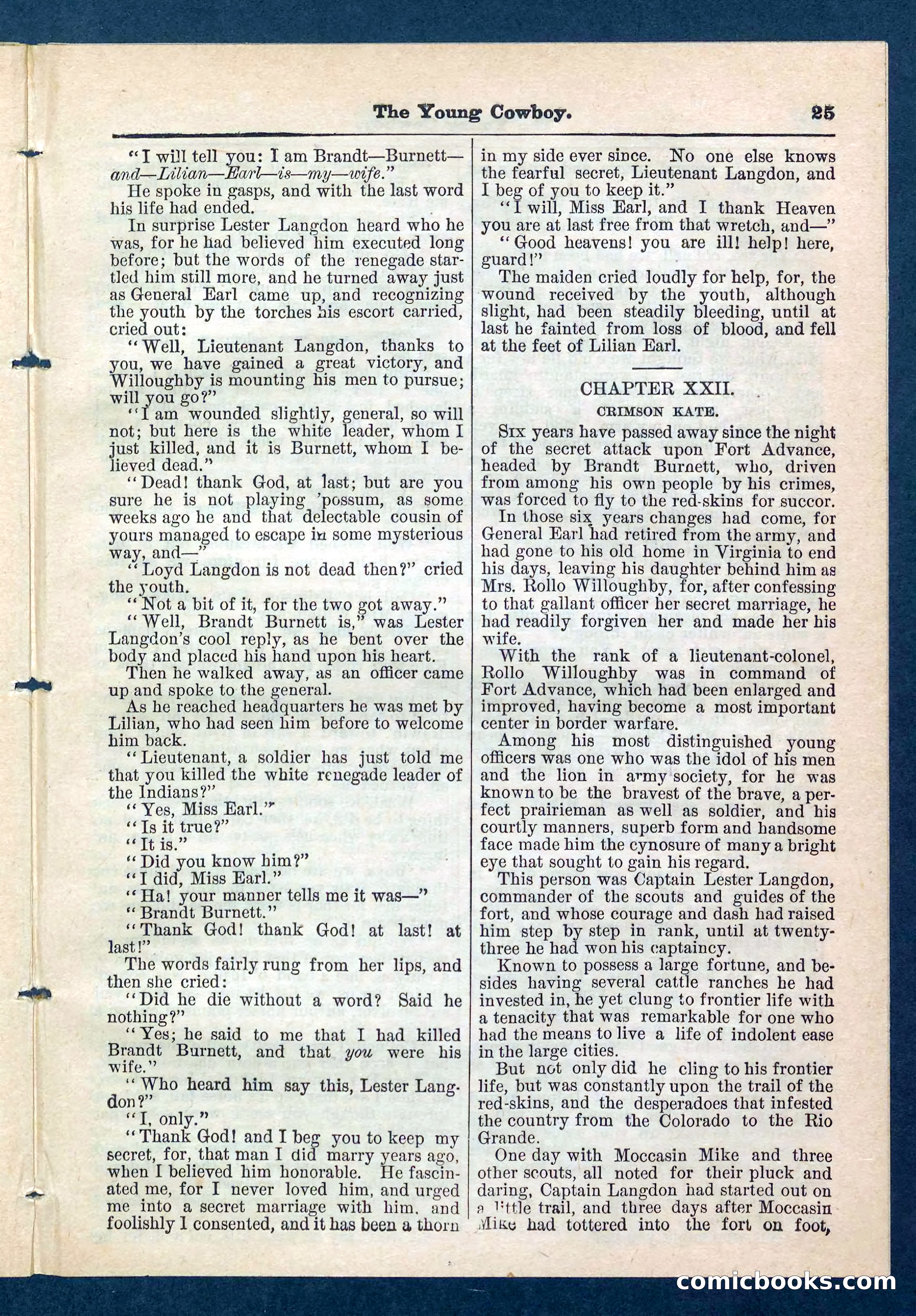 Beadle's Pocket Library, No. 204 — page 25 of 32