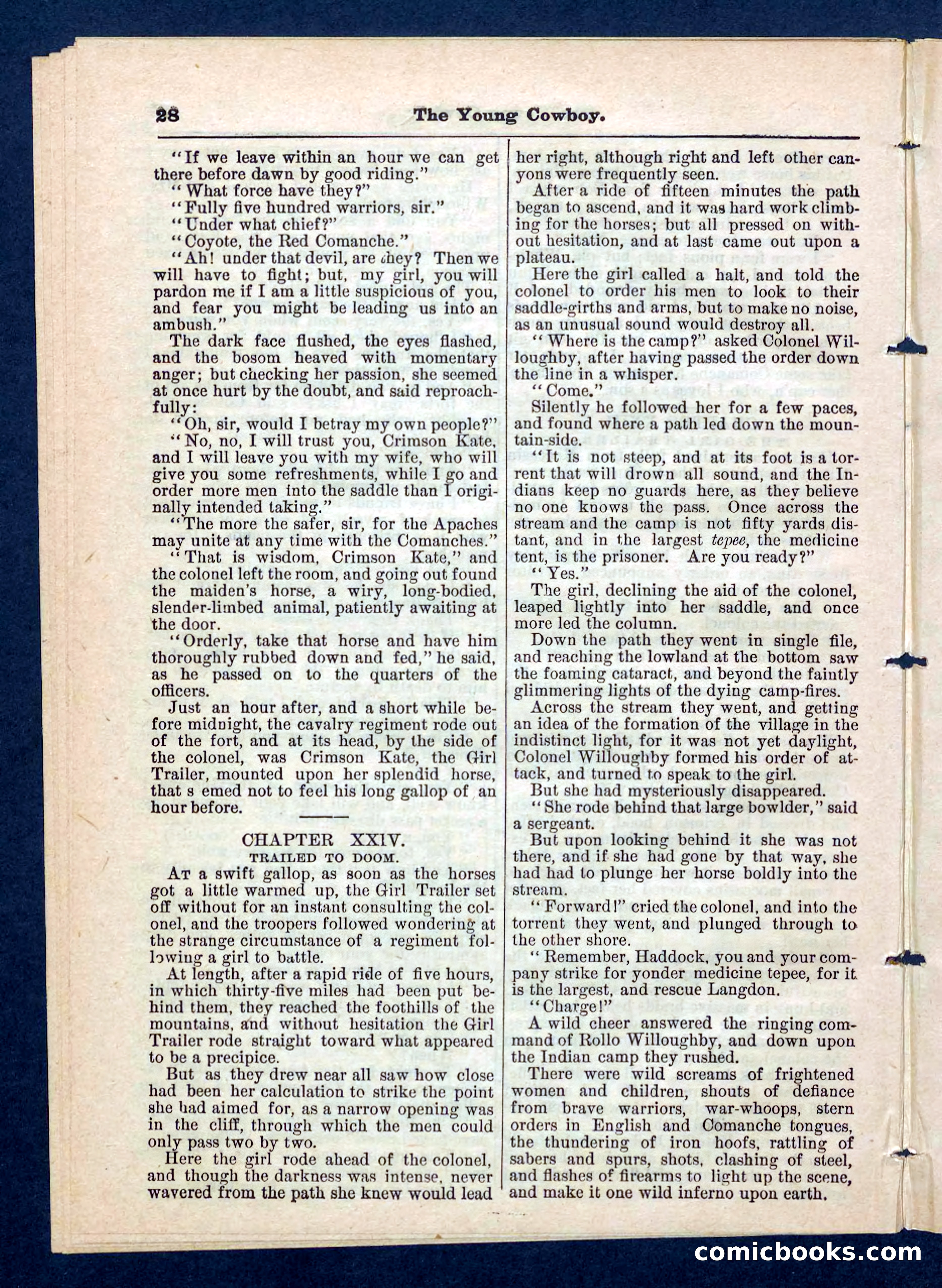 Beadle's Pocket Library, No. 204 — page 28 of 32
