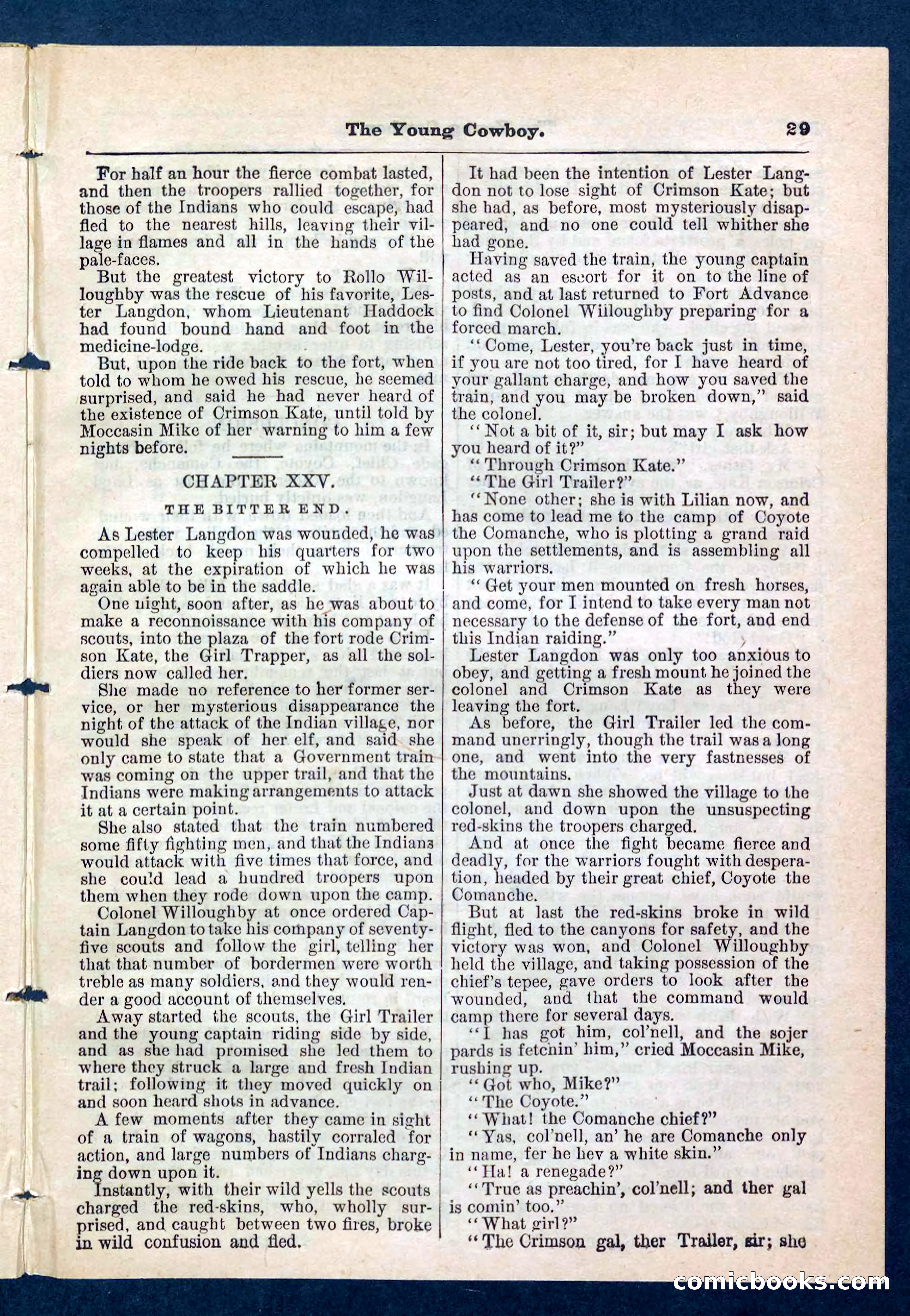 Beadle's Pocket Library, No. 204 — page 29 of 32