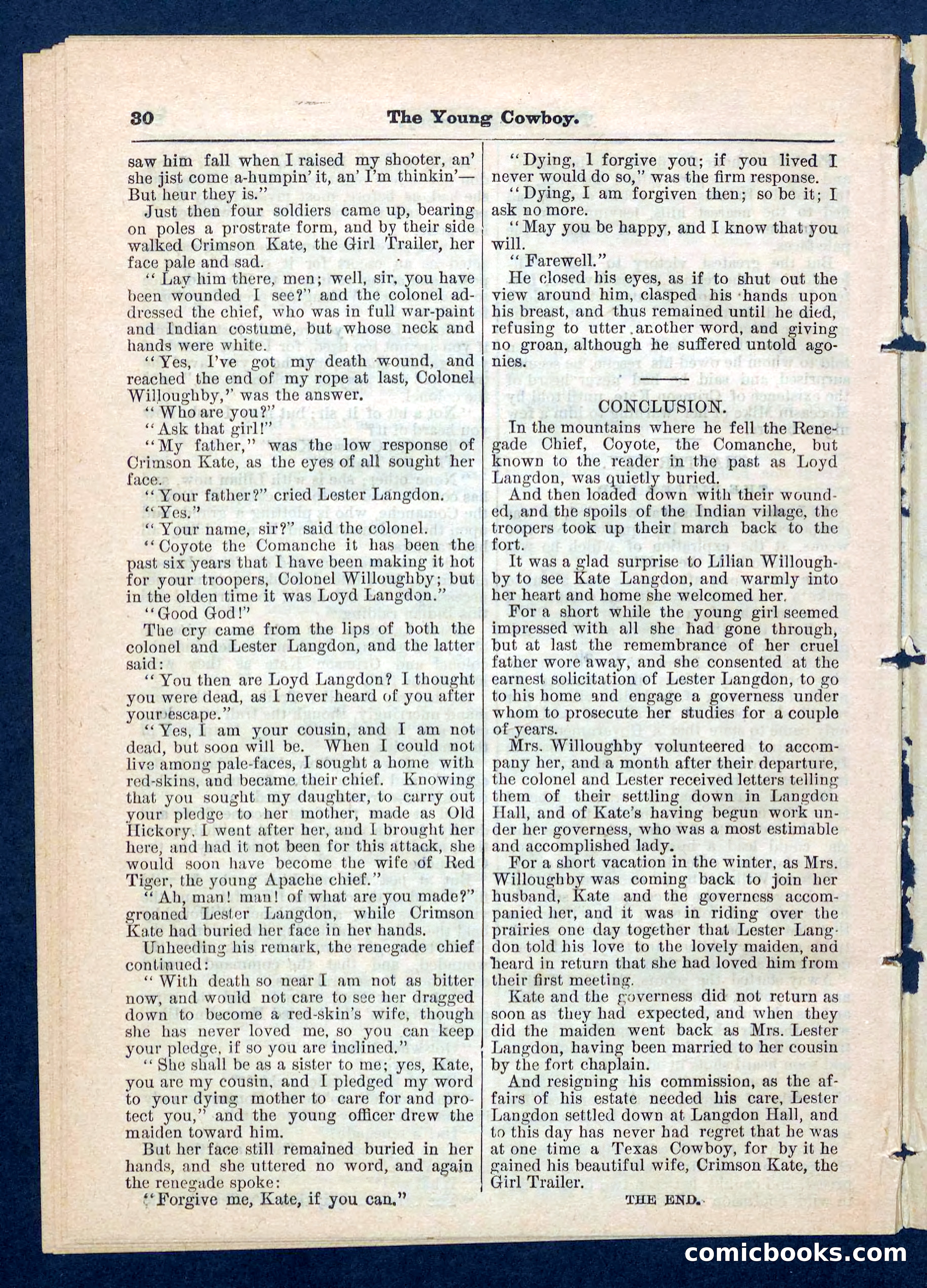 Beadle's Pocket Library, No. 204 — page 30 of 32