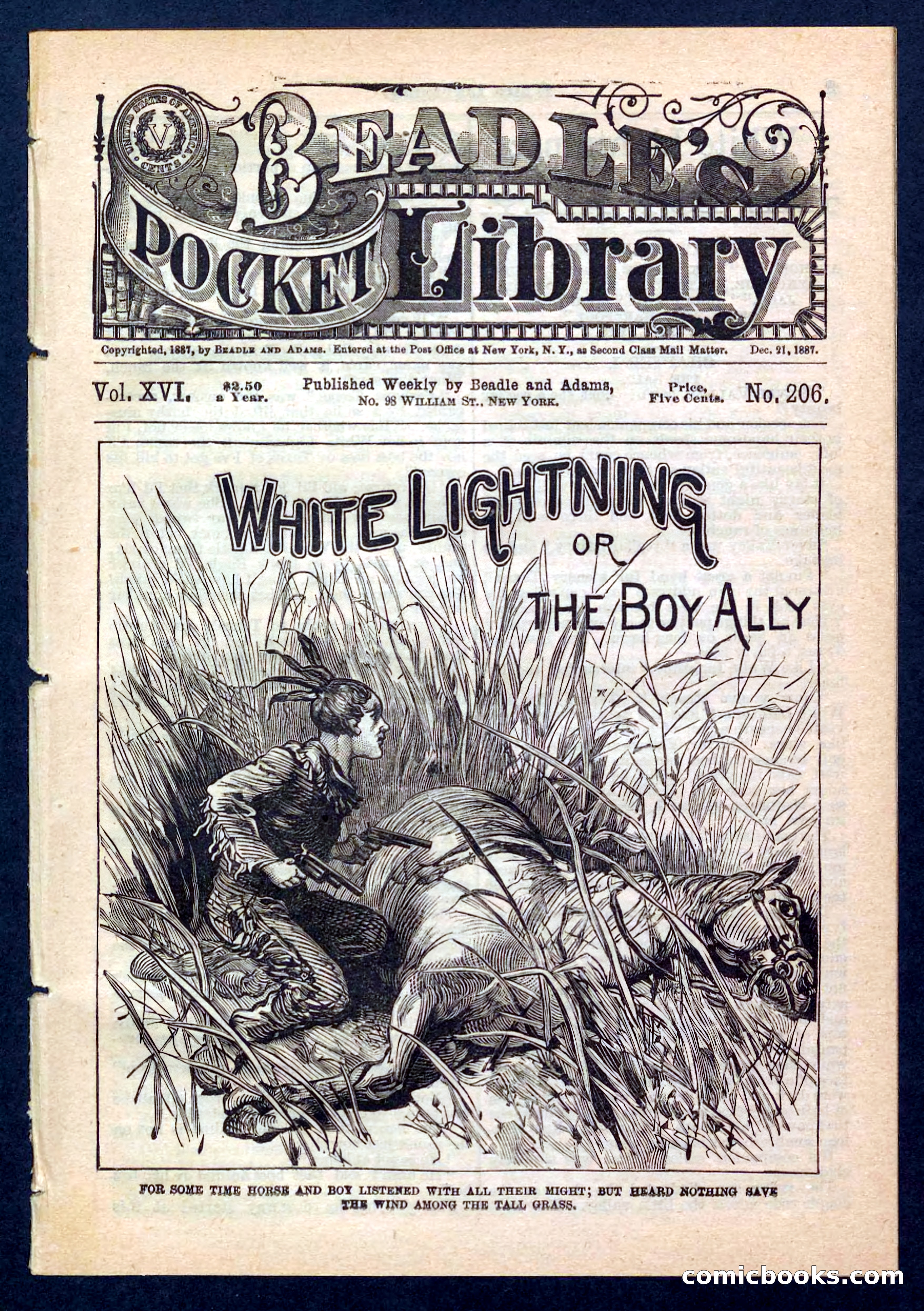 Beadle's Pocket Library No. 206 — page 1 of 32