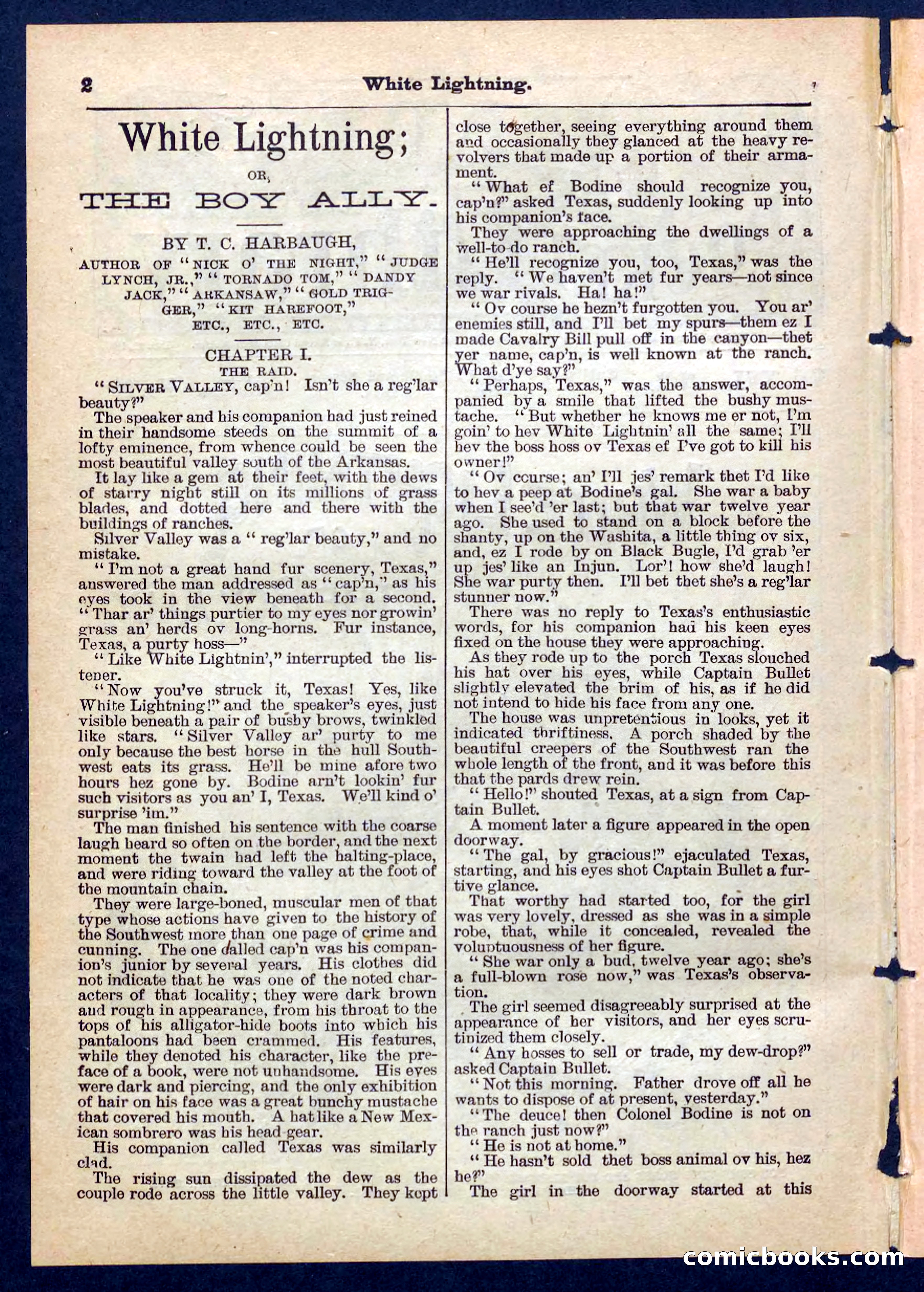 Beadle's Pocket Library No. 206 — page 2 of 32