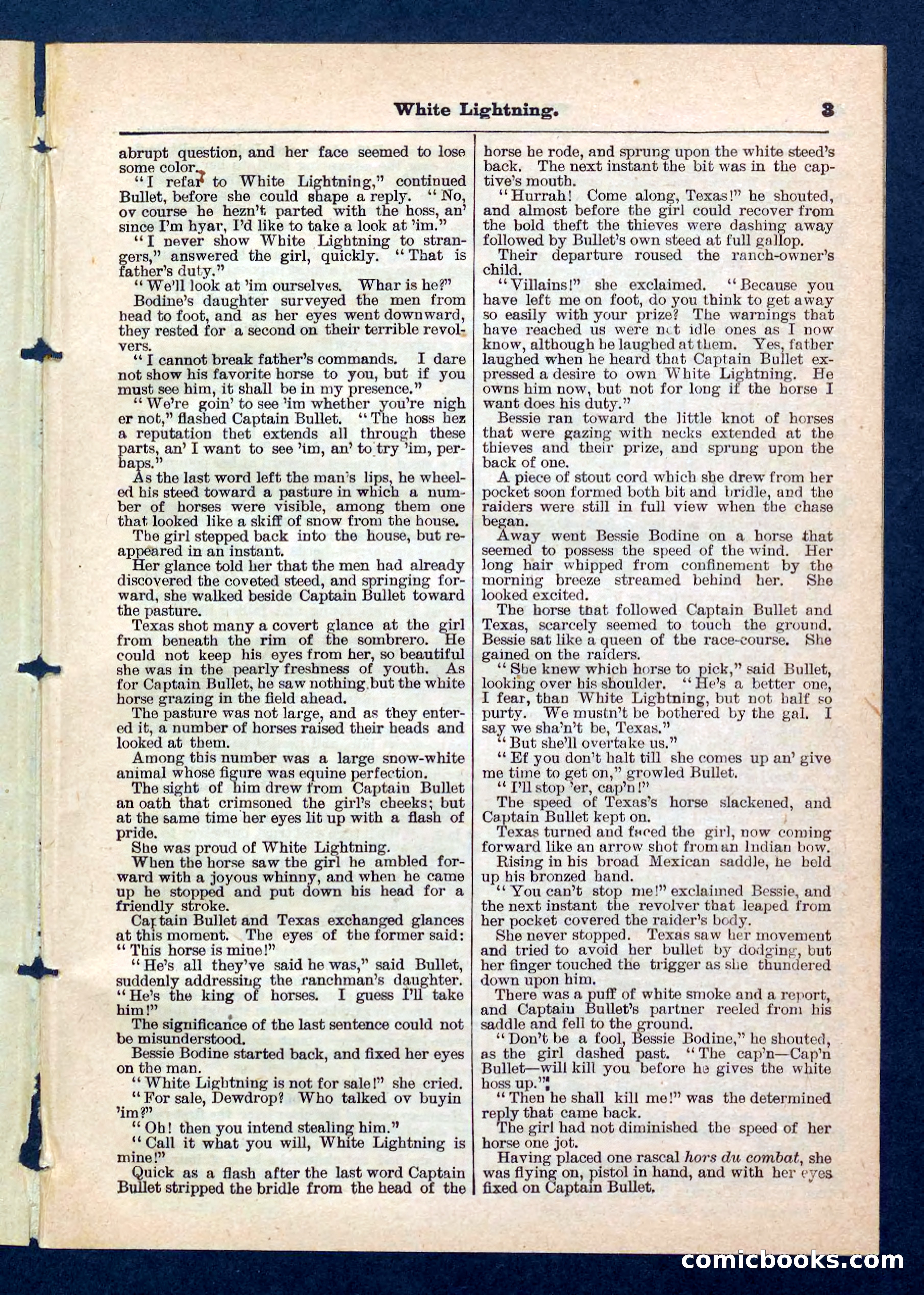 Beadle's Pocket Library No. 206 — page 3 of 32