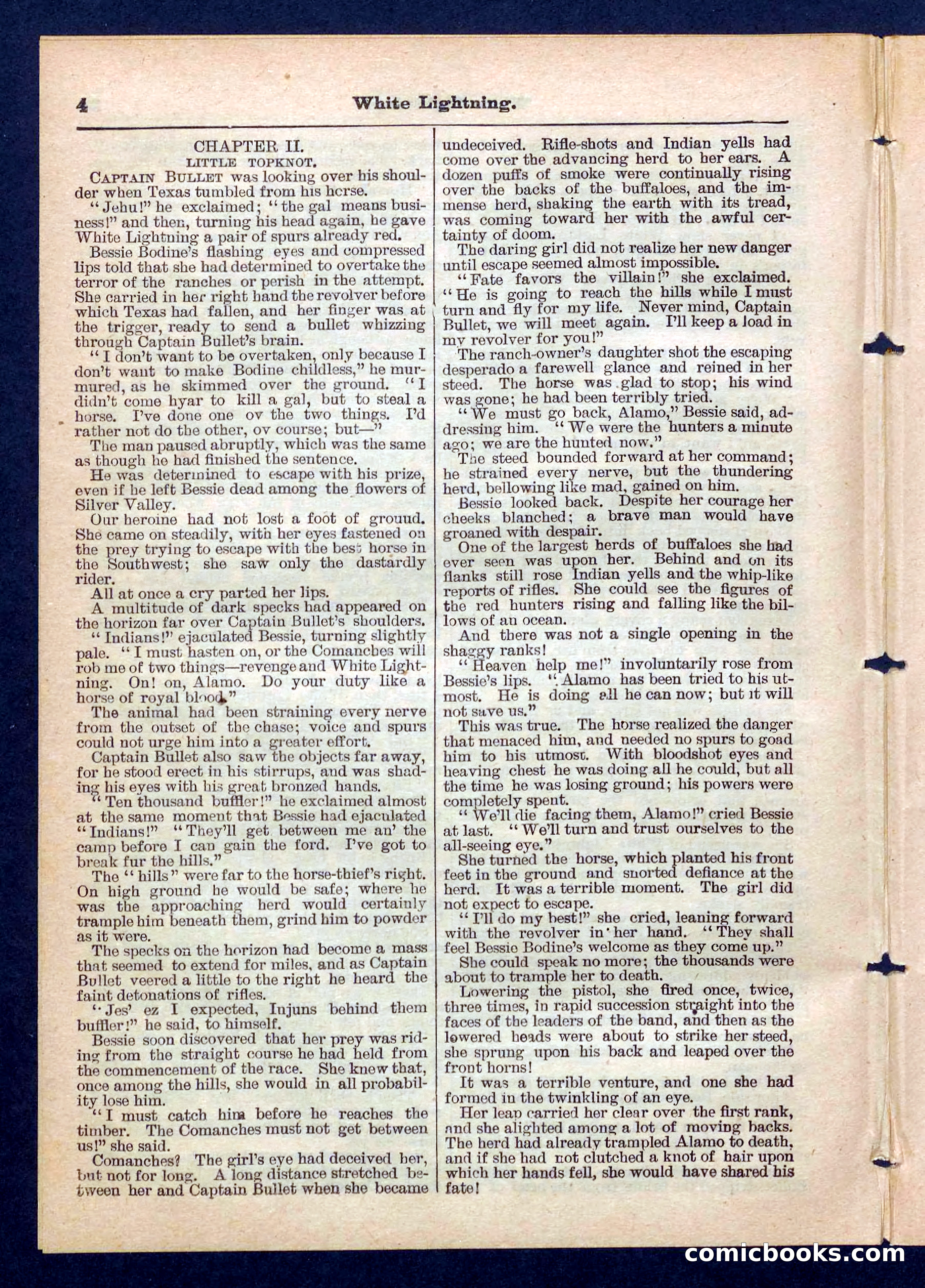 Beadle's Pocket Library No. 206 — page 4 of 32