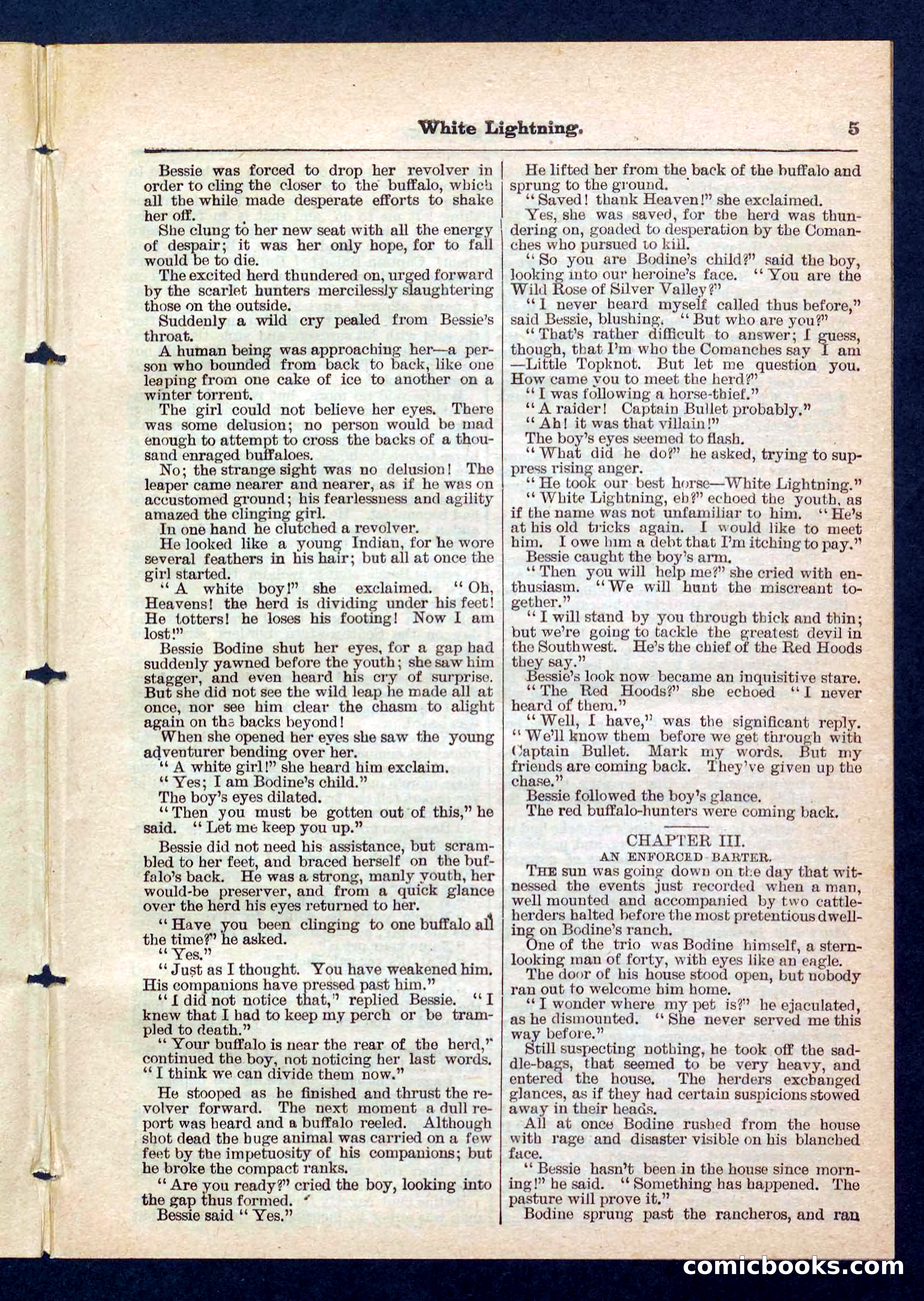Beadle's Pocket Library No. 206 — page 5 of 32
