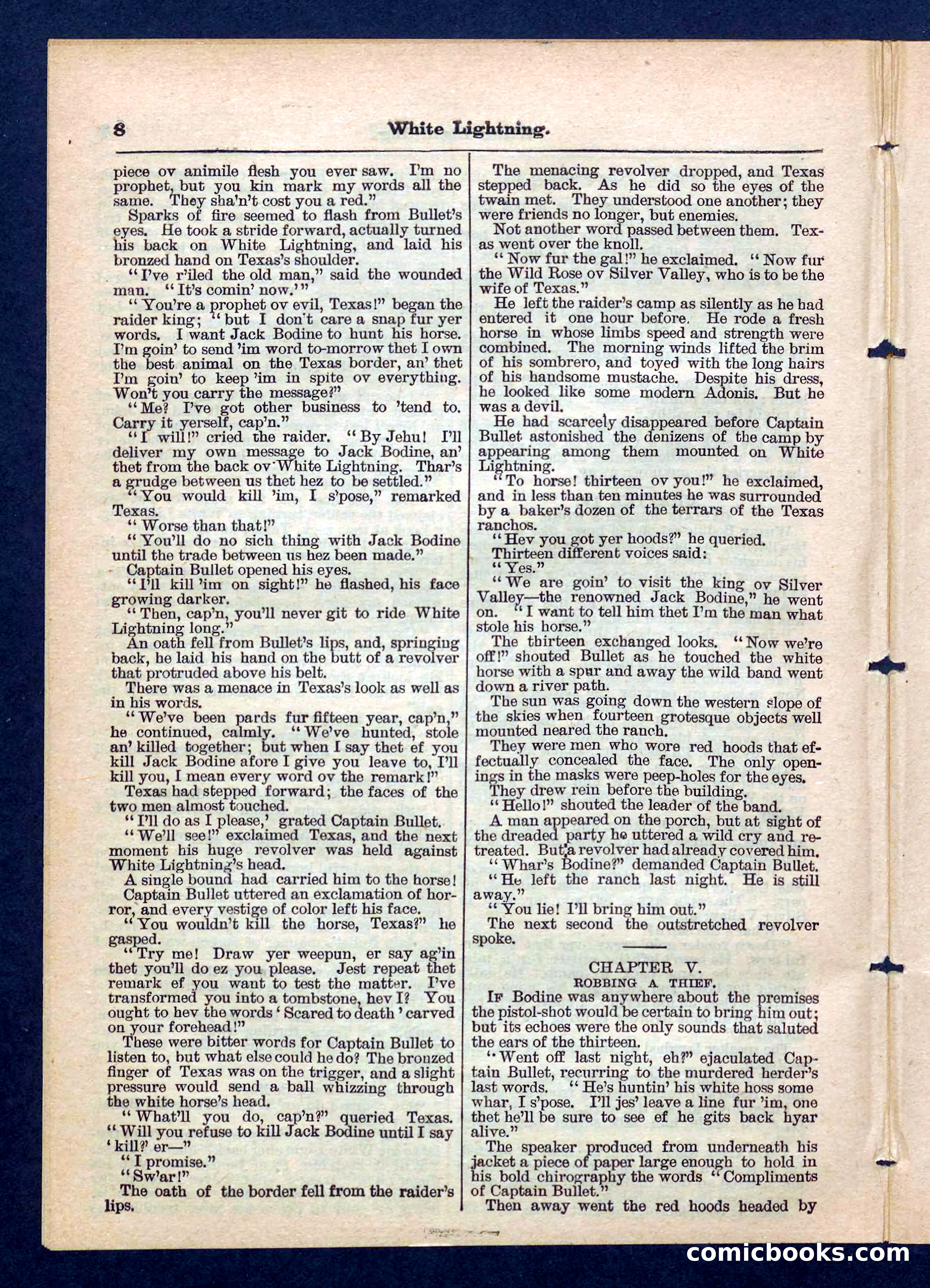 Beadle's Pocket Library No. 206 — page 8 of 32