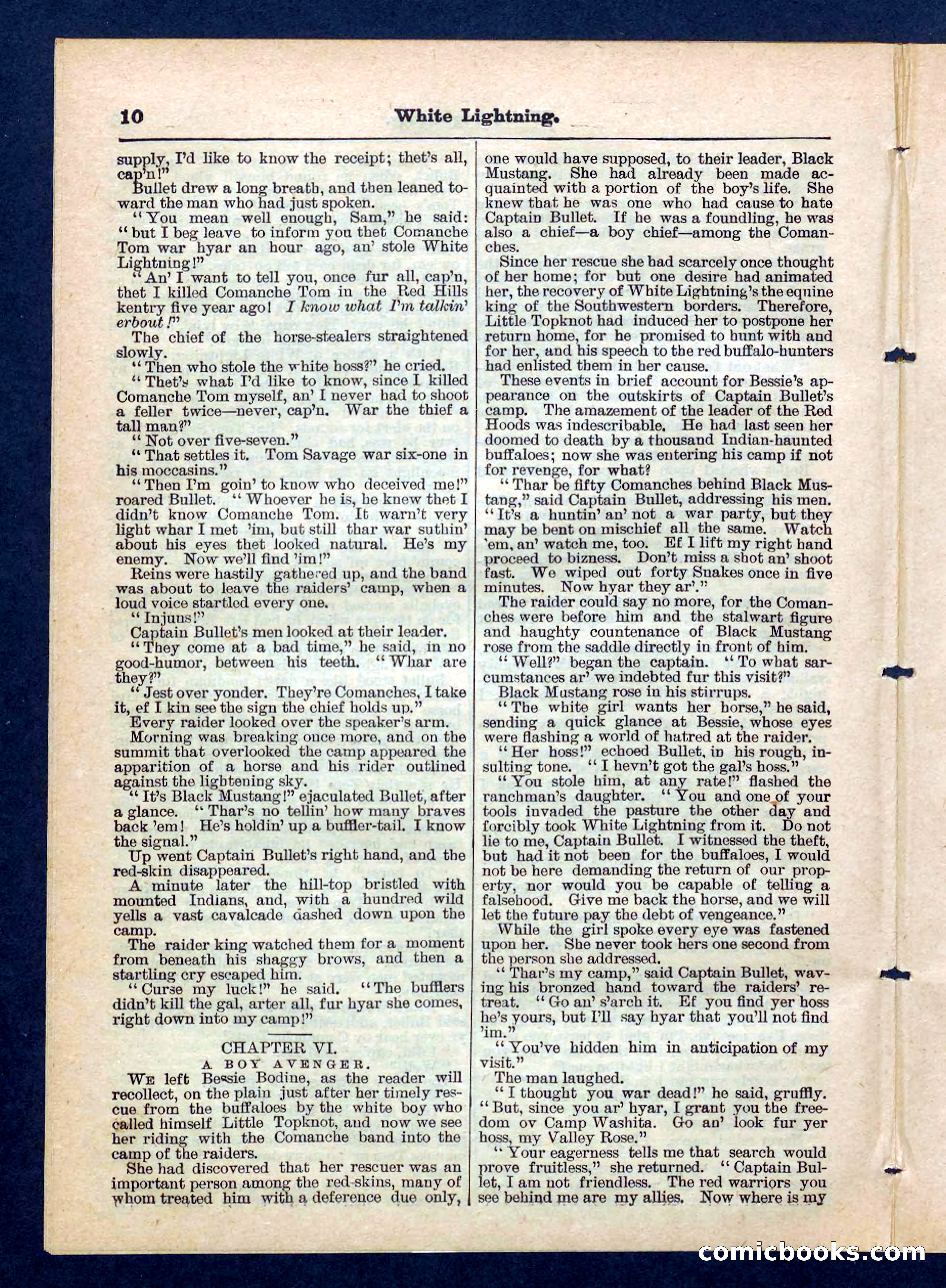 Beadle's Pocket Library No. 206 — page 10 of 32