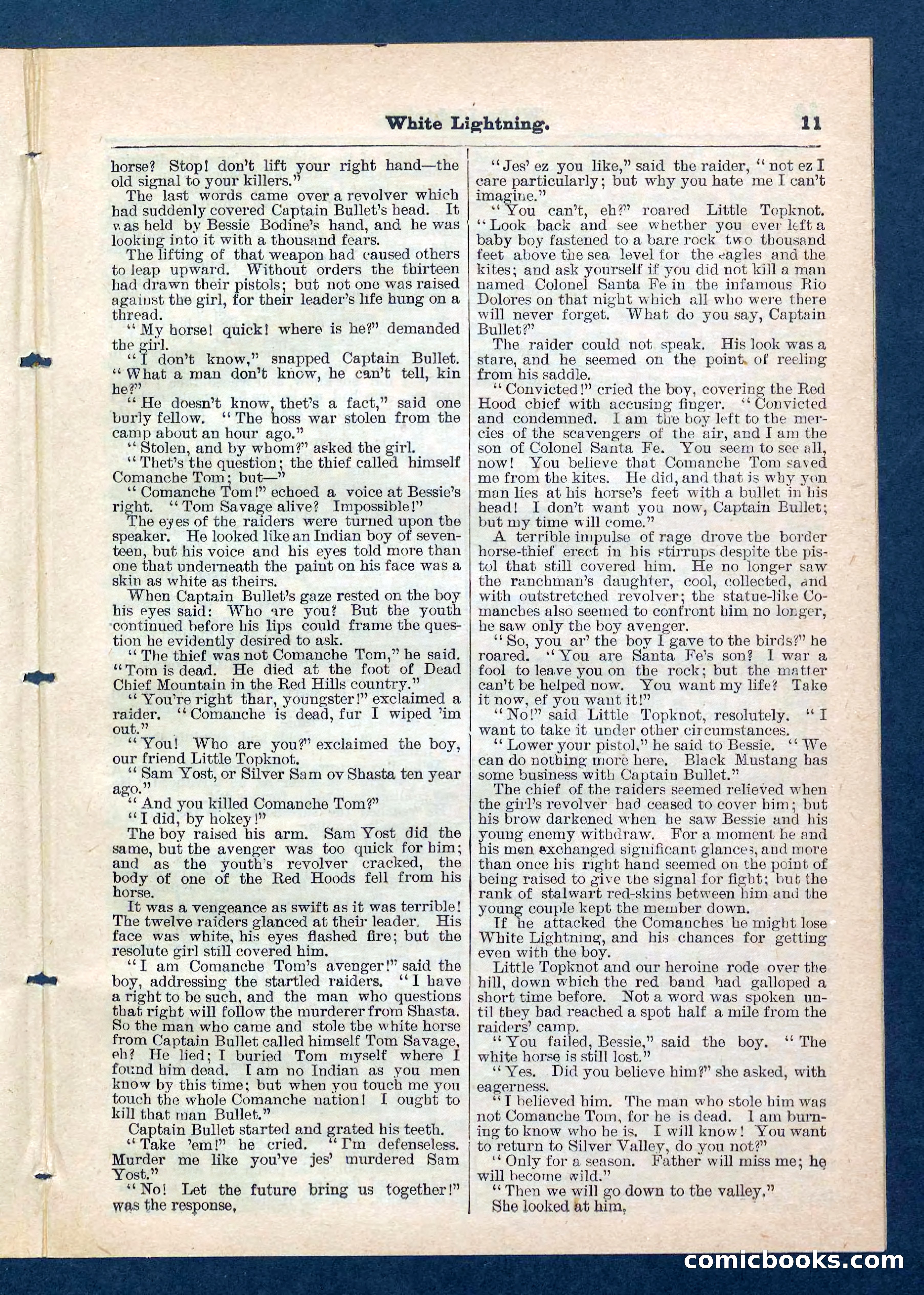 Beadle's Pocket Library No. 206 — page 11 of 32