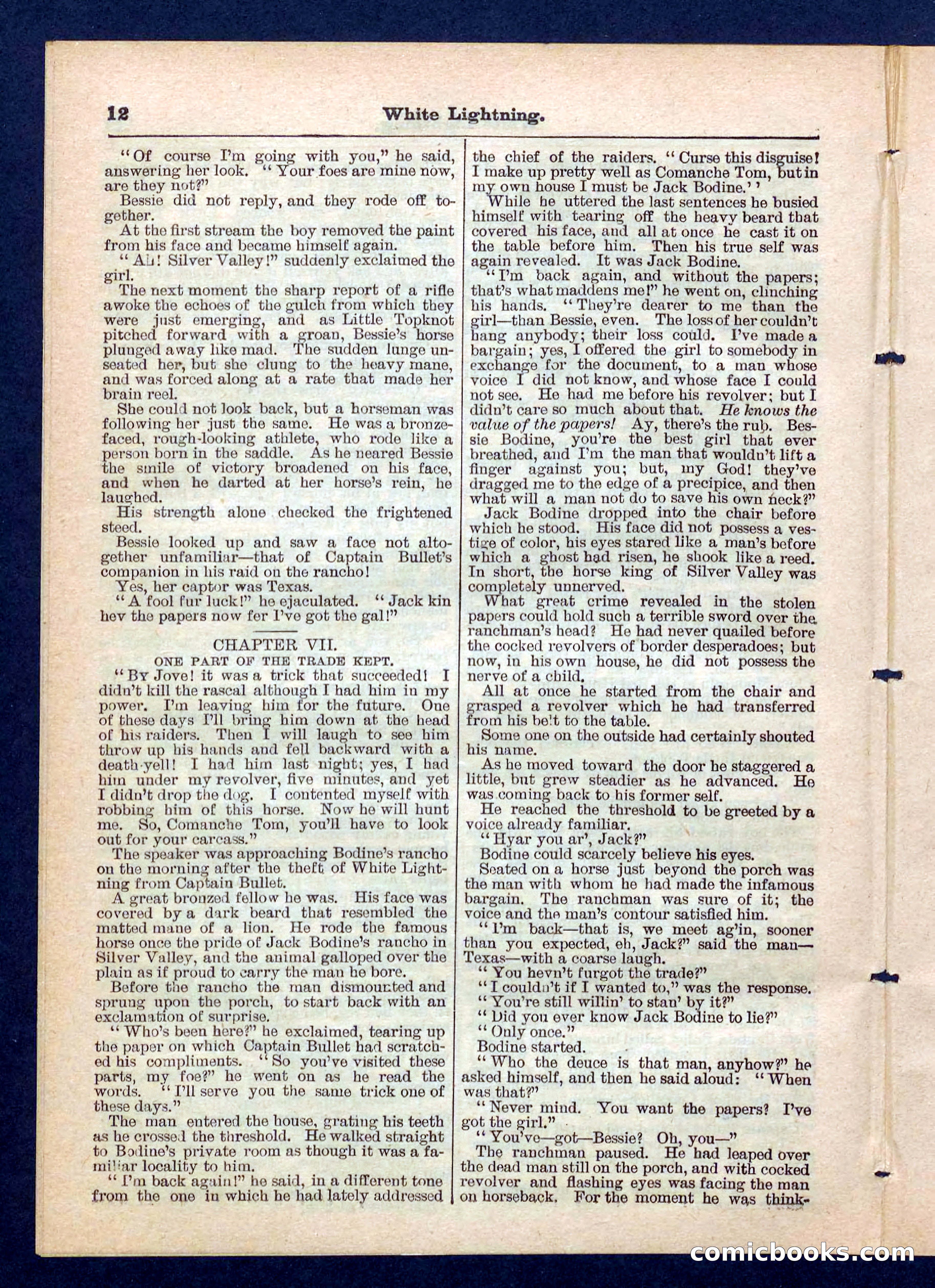 Beadle's Pocket Library No. 206 — page 12 of 32