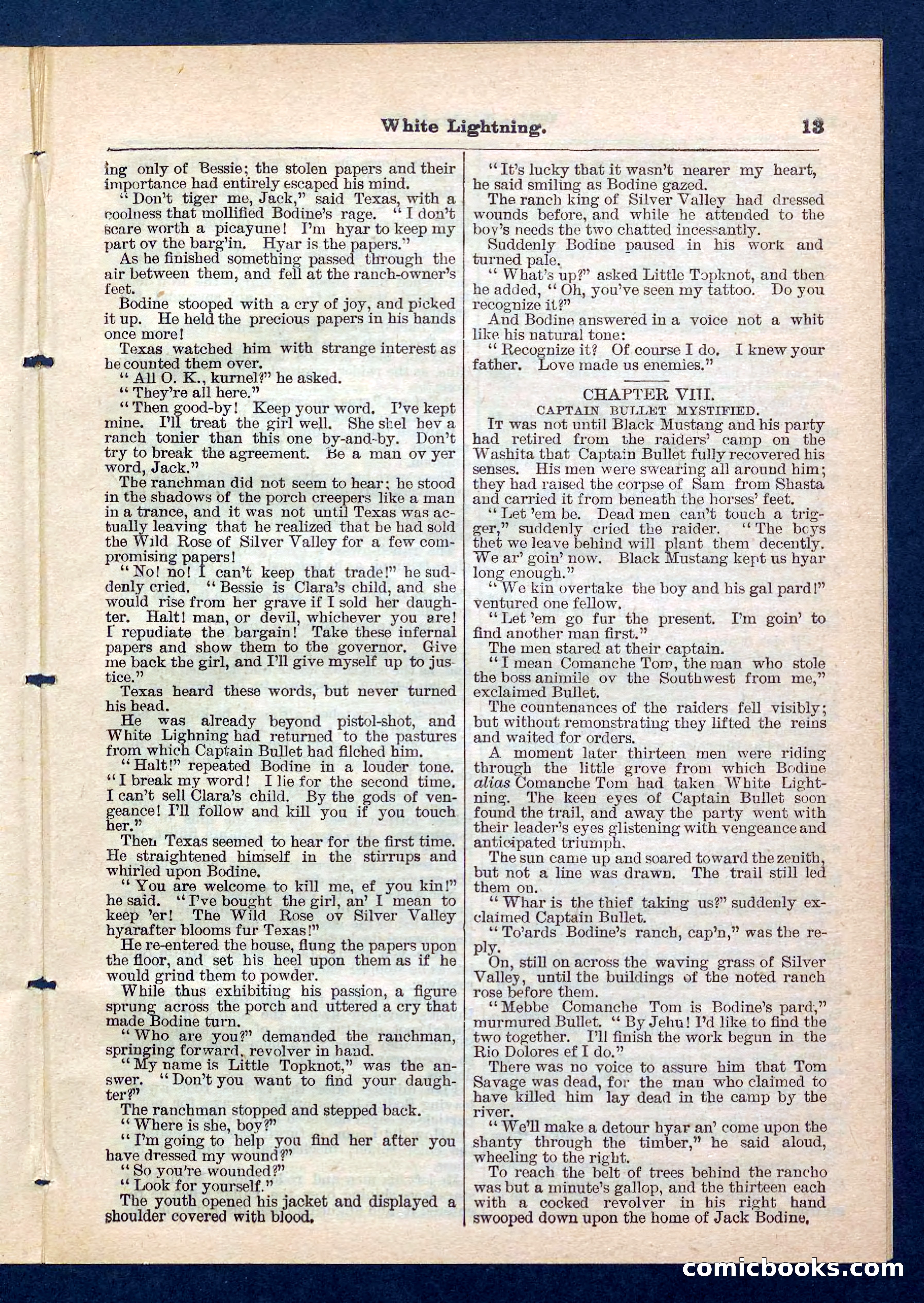 Beadle's Pocket Library No. 206 — page 13 of 32