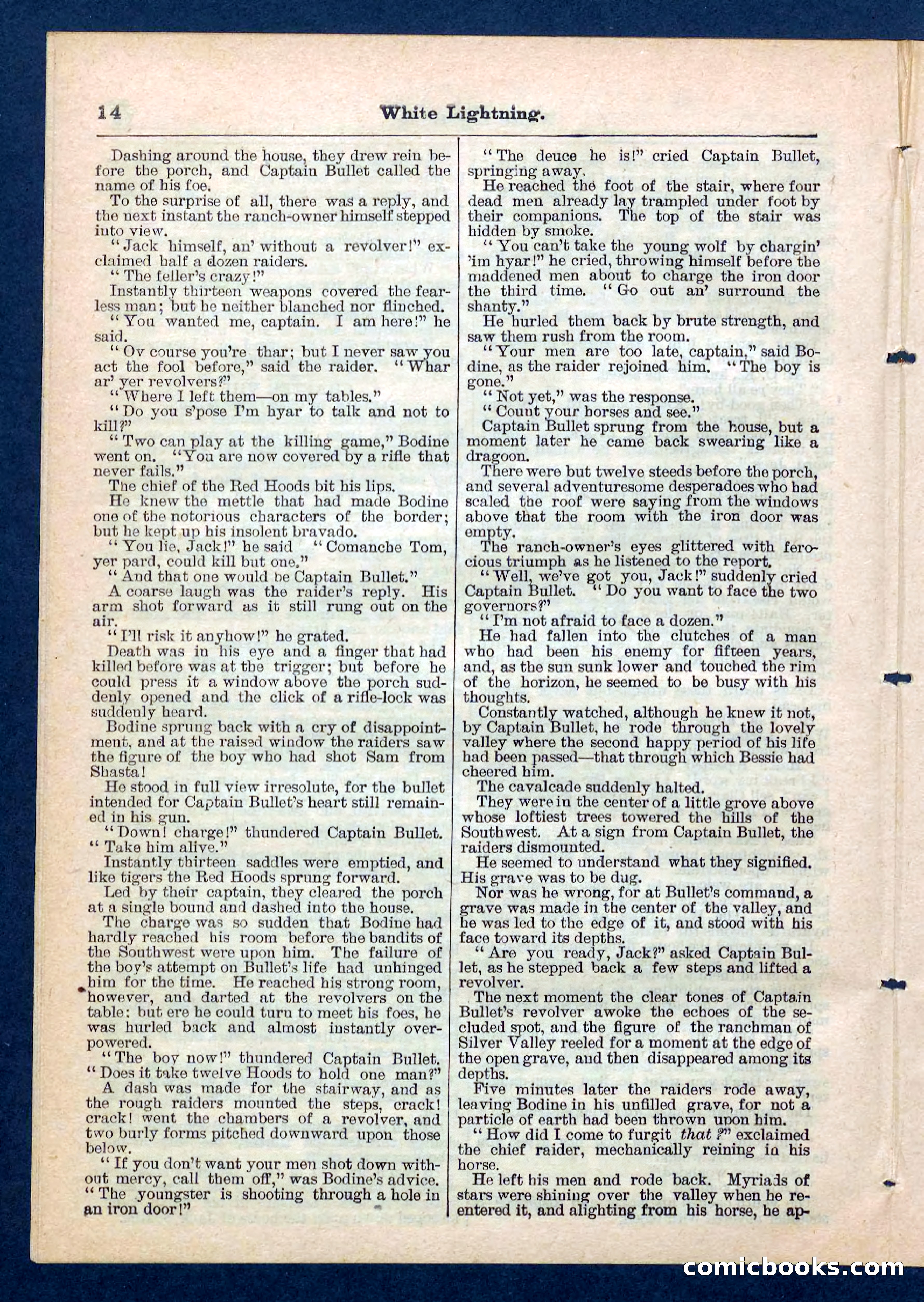 Beadle's Pocket Library No. 206 — page 14 of 32