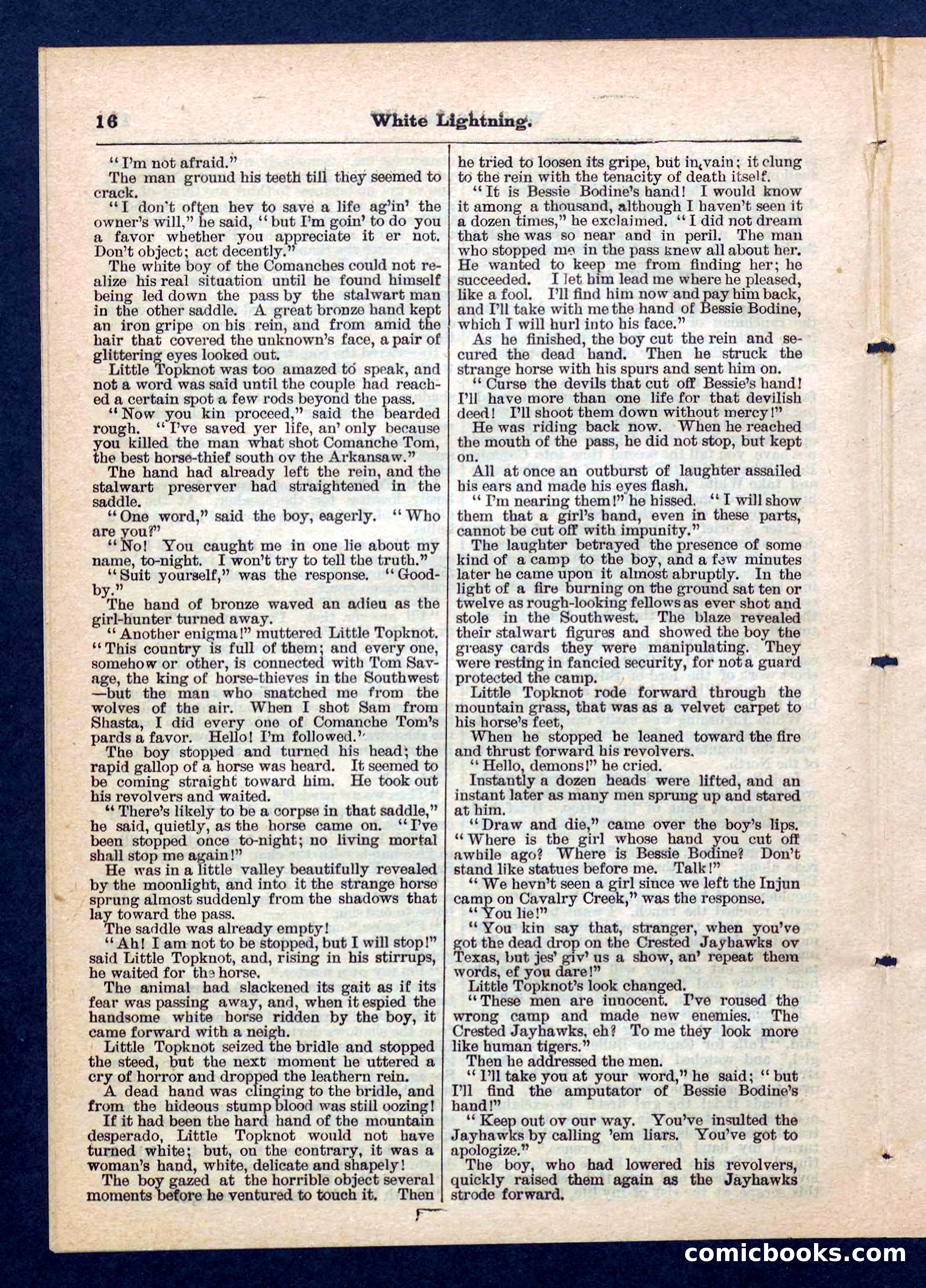 Beadle's Pocket Library No. 206 — page 16 of 32