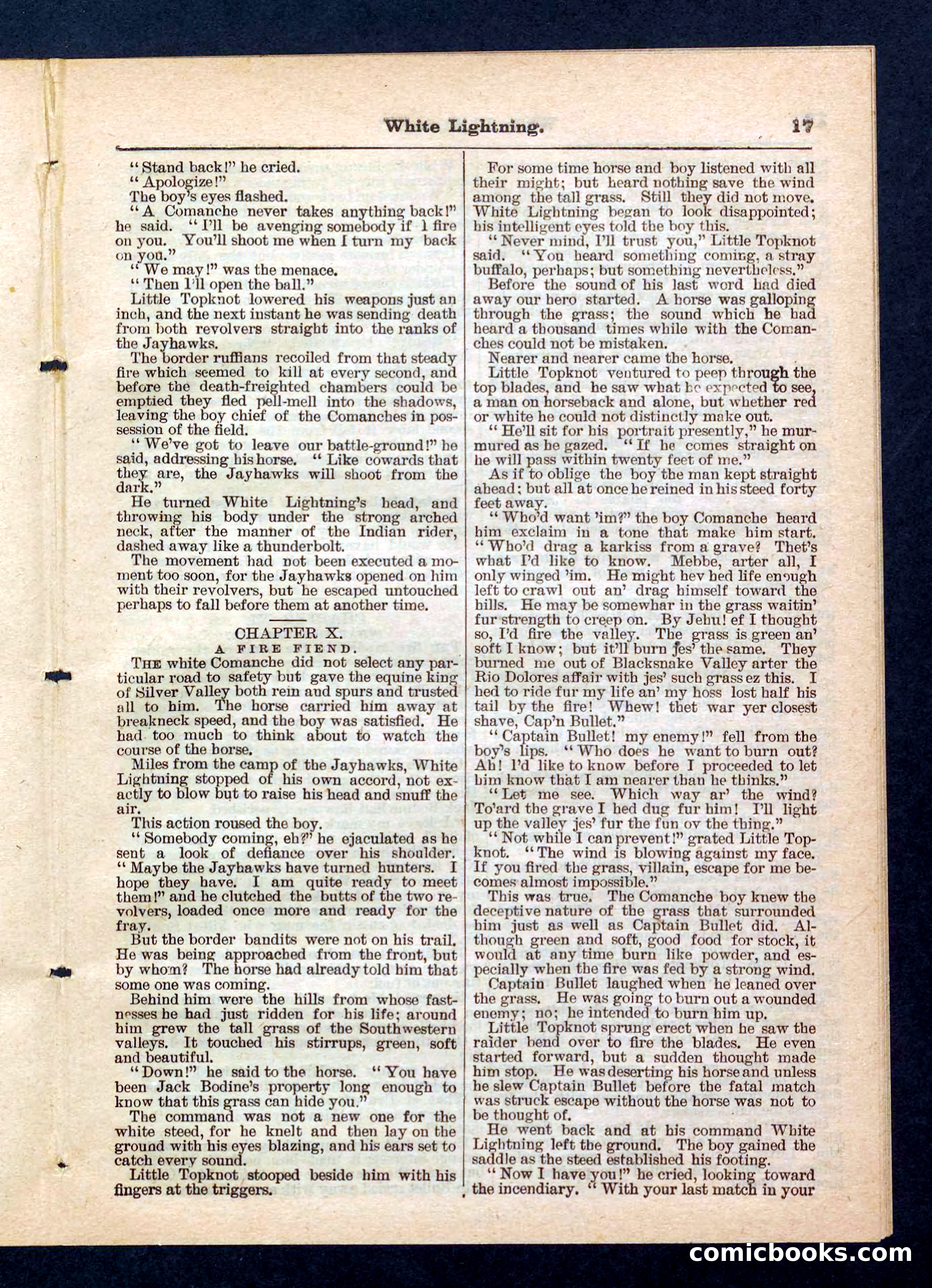 Beadle's Pocket Library No. 206 — page 17 of 32