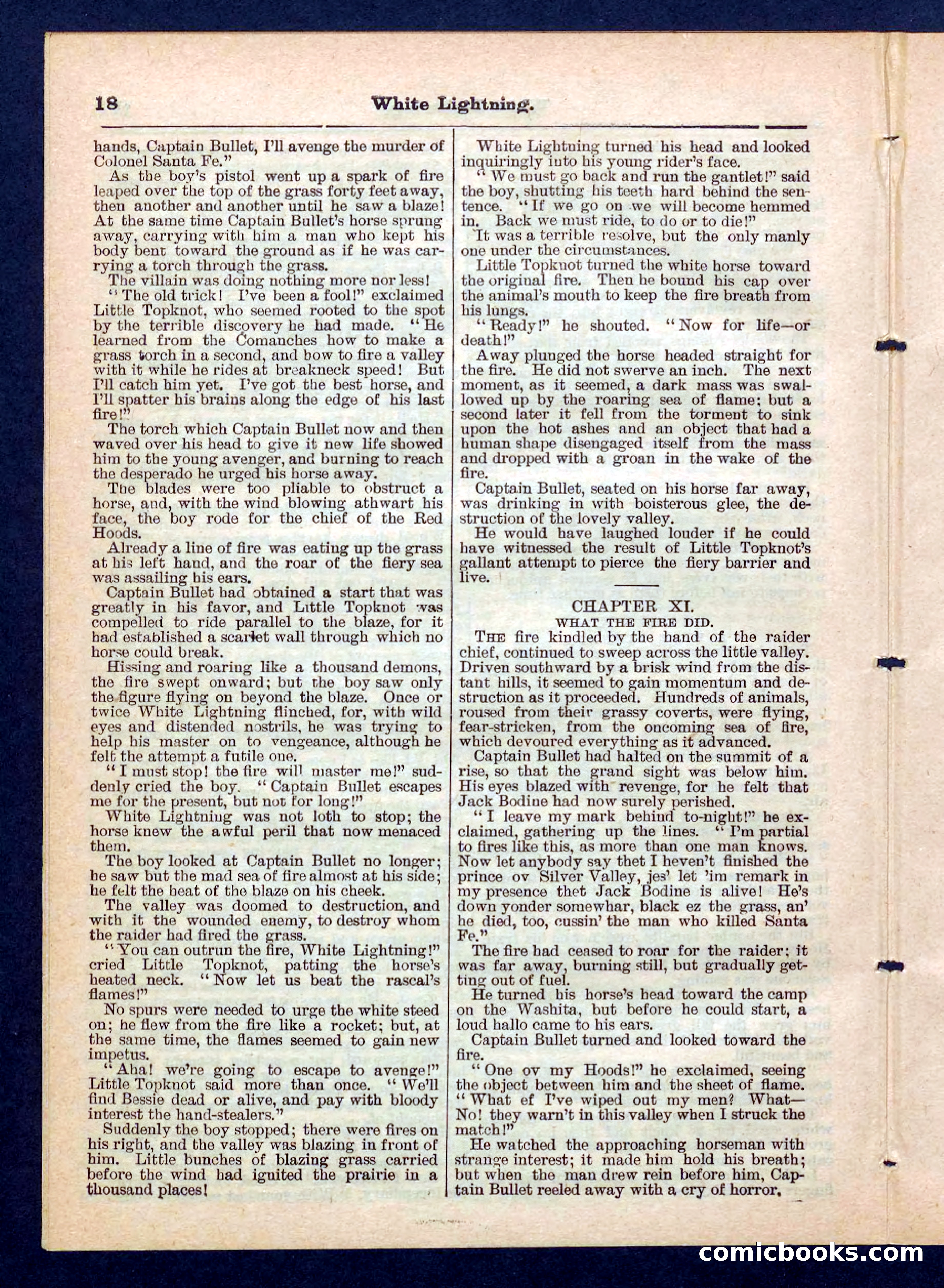 Beadle's Pocket Library No. 206 — page 18 of 32