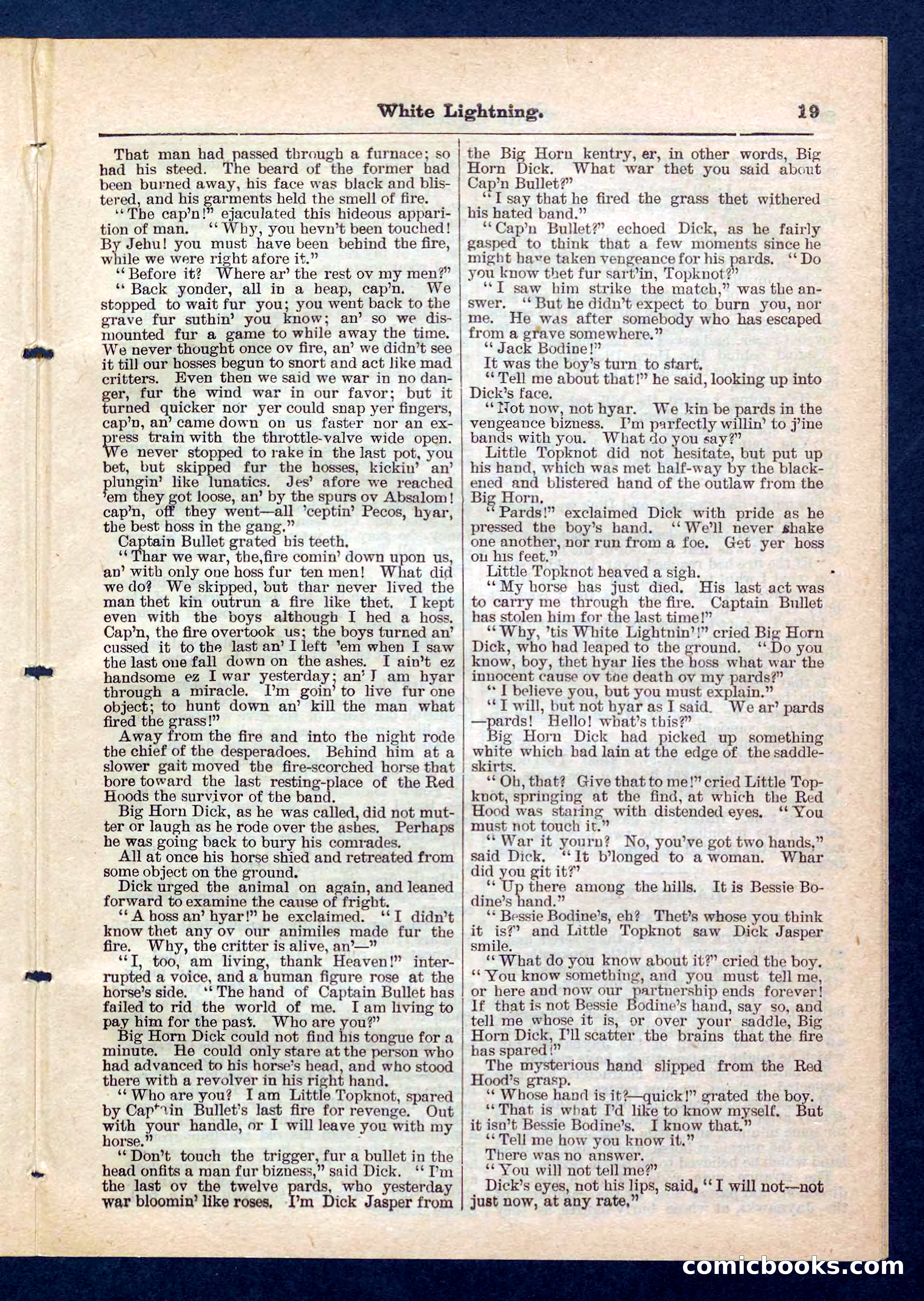Beadle's Pocket Library No. 206 — page 19 of 32