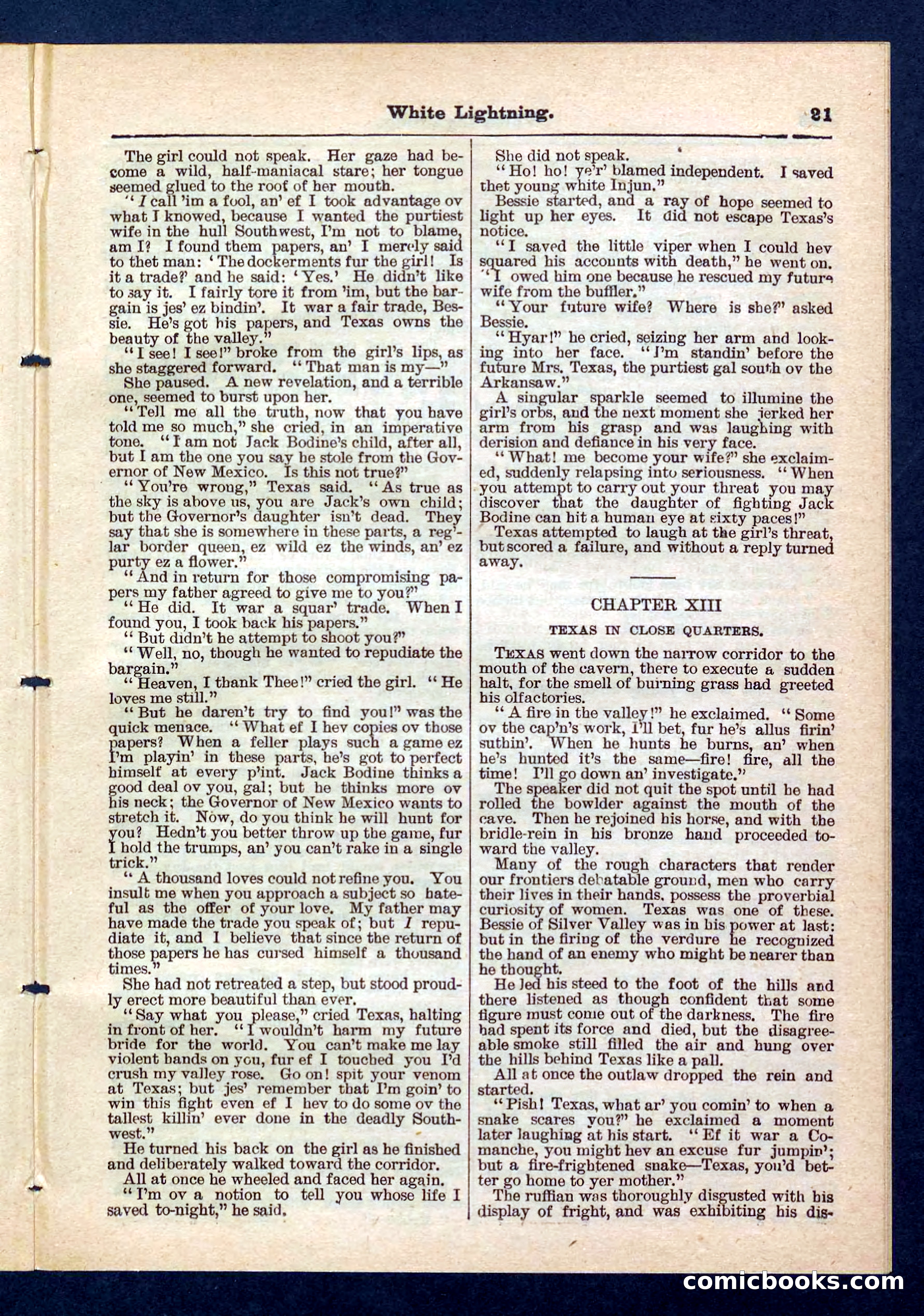Beadle's Pocket Library No. 206 — page 21 of 32