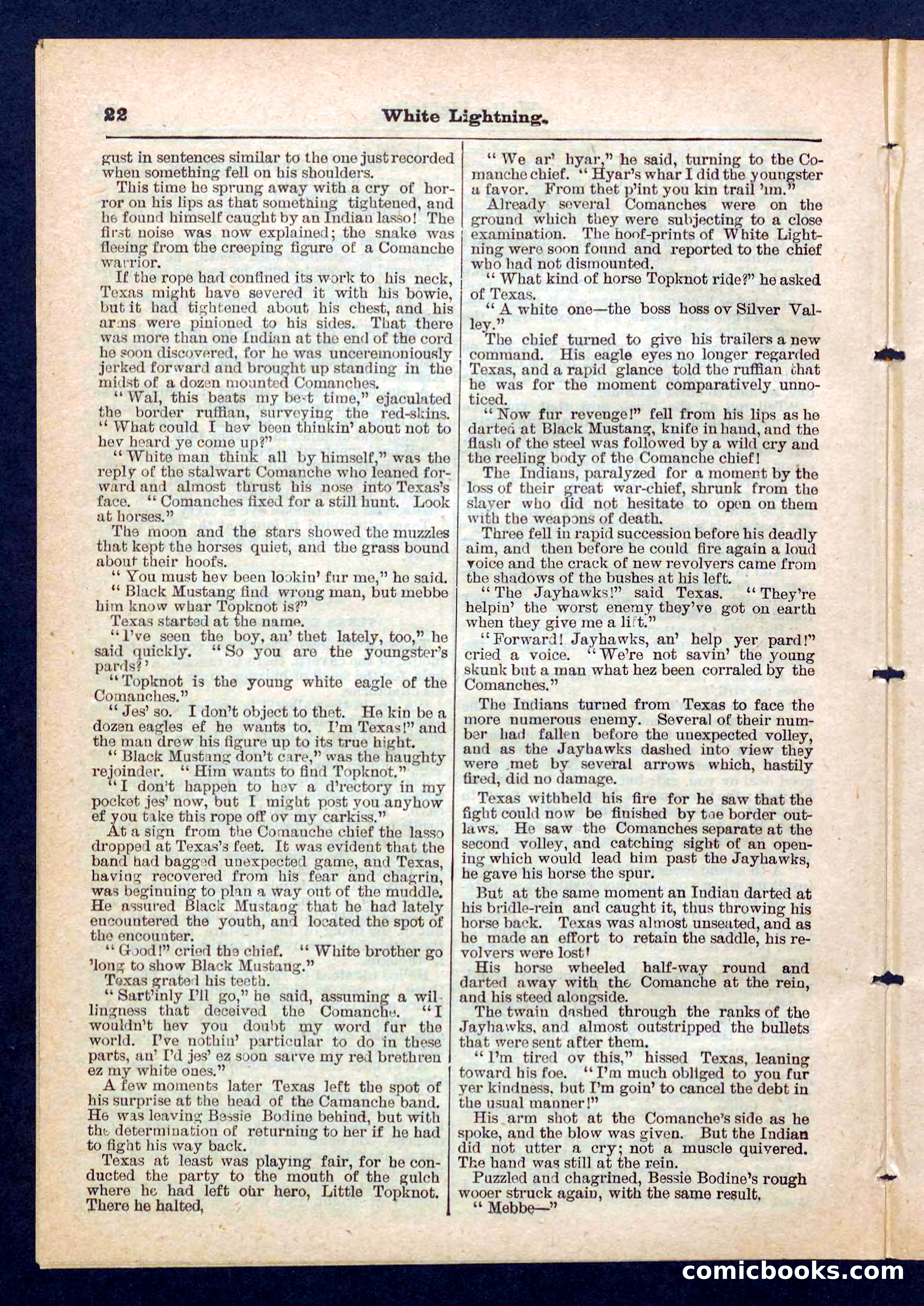 Beadle's Pocket Library No. 206 — page 22 of 32
