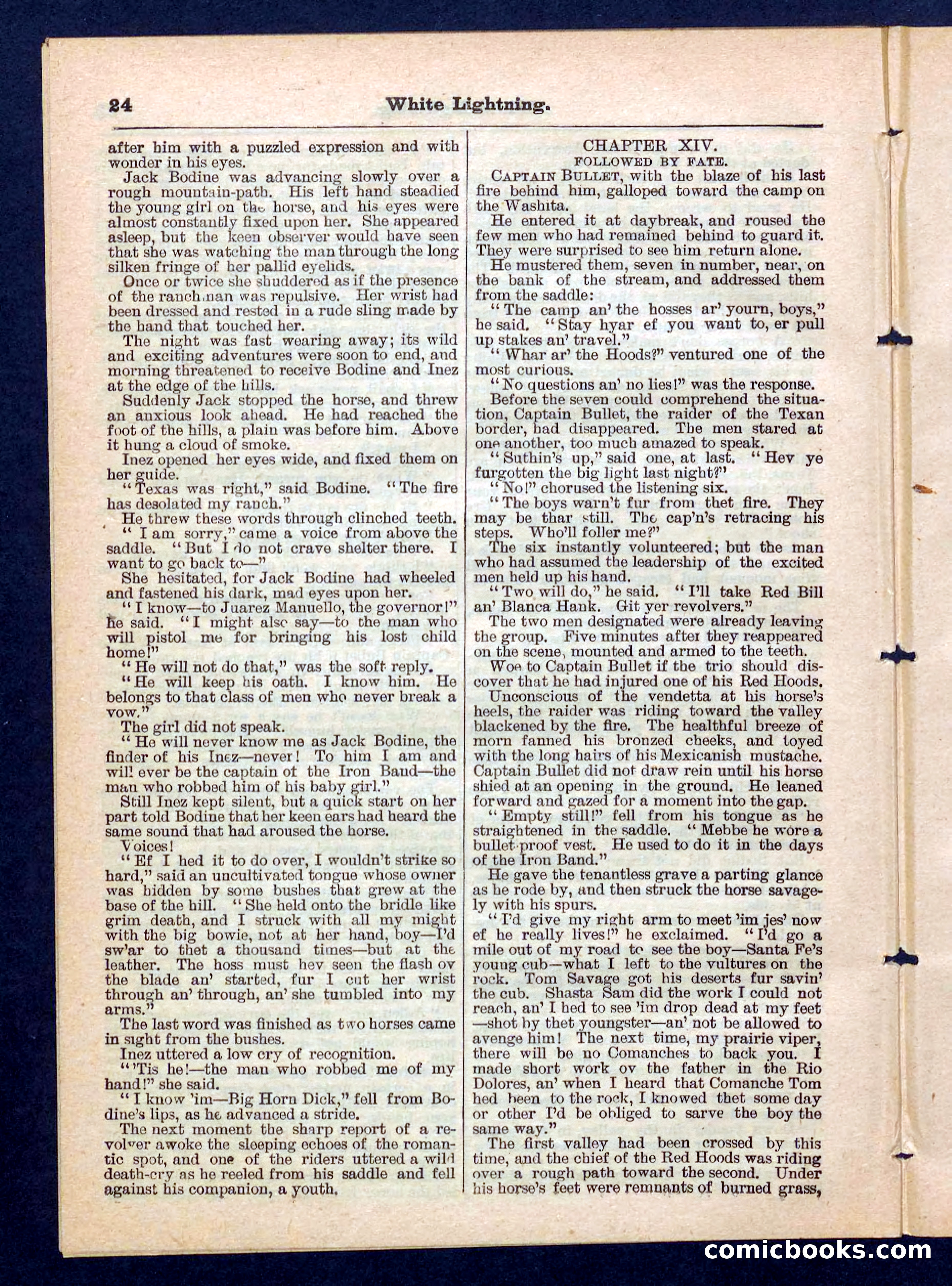 Beadle's Pocket Library No. 206 — page 24 of 32