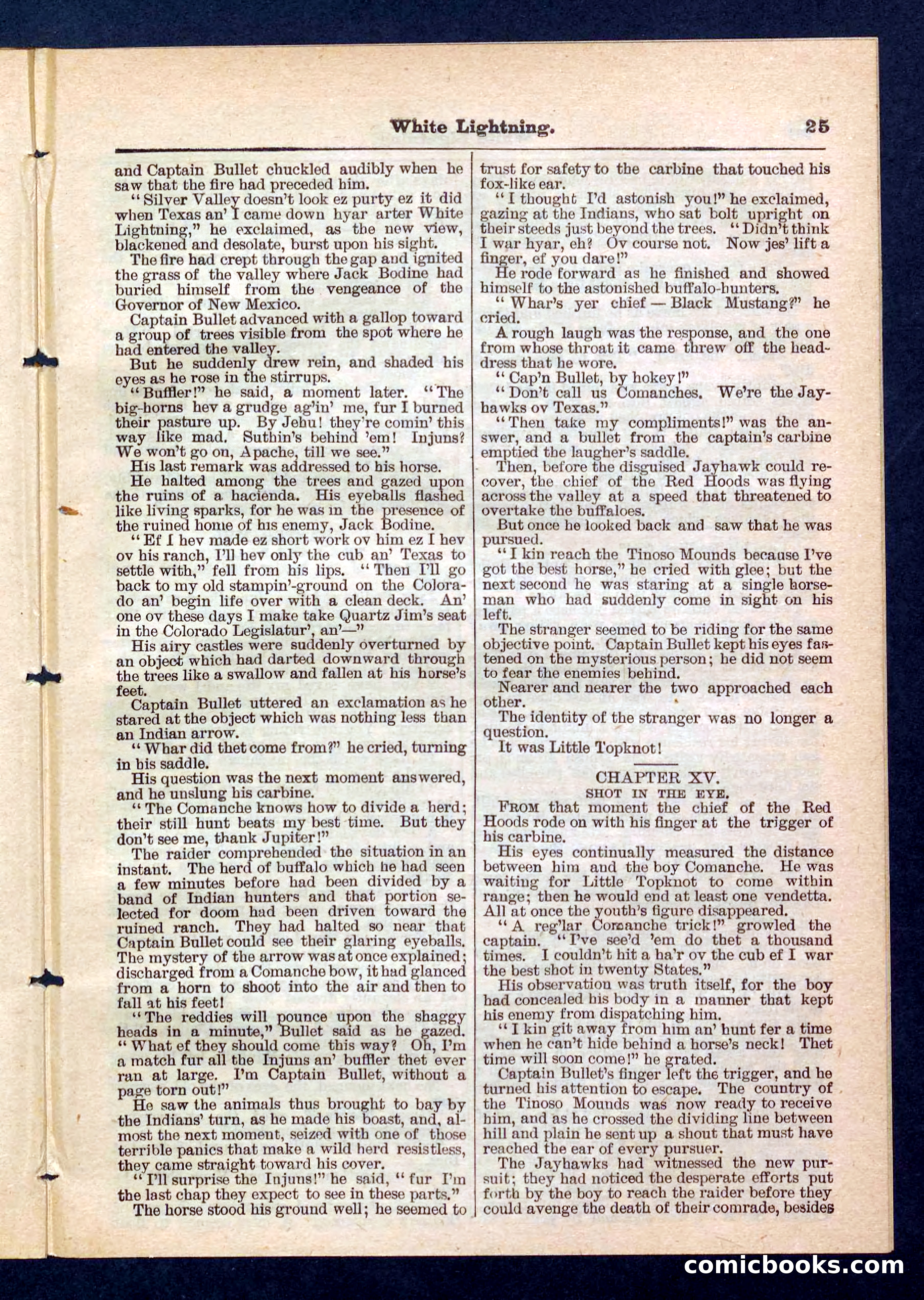 Beadle's Pocket Library No. 206 — page 25 of 32