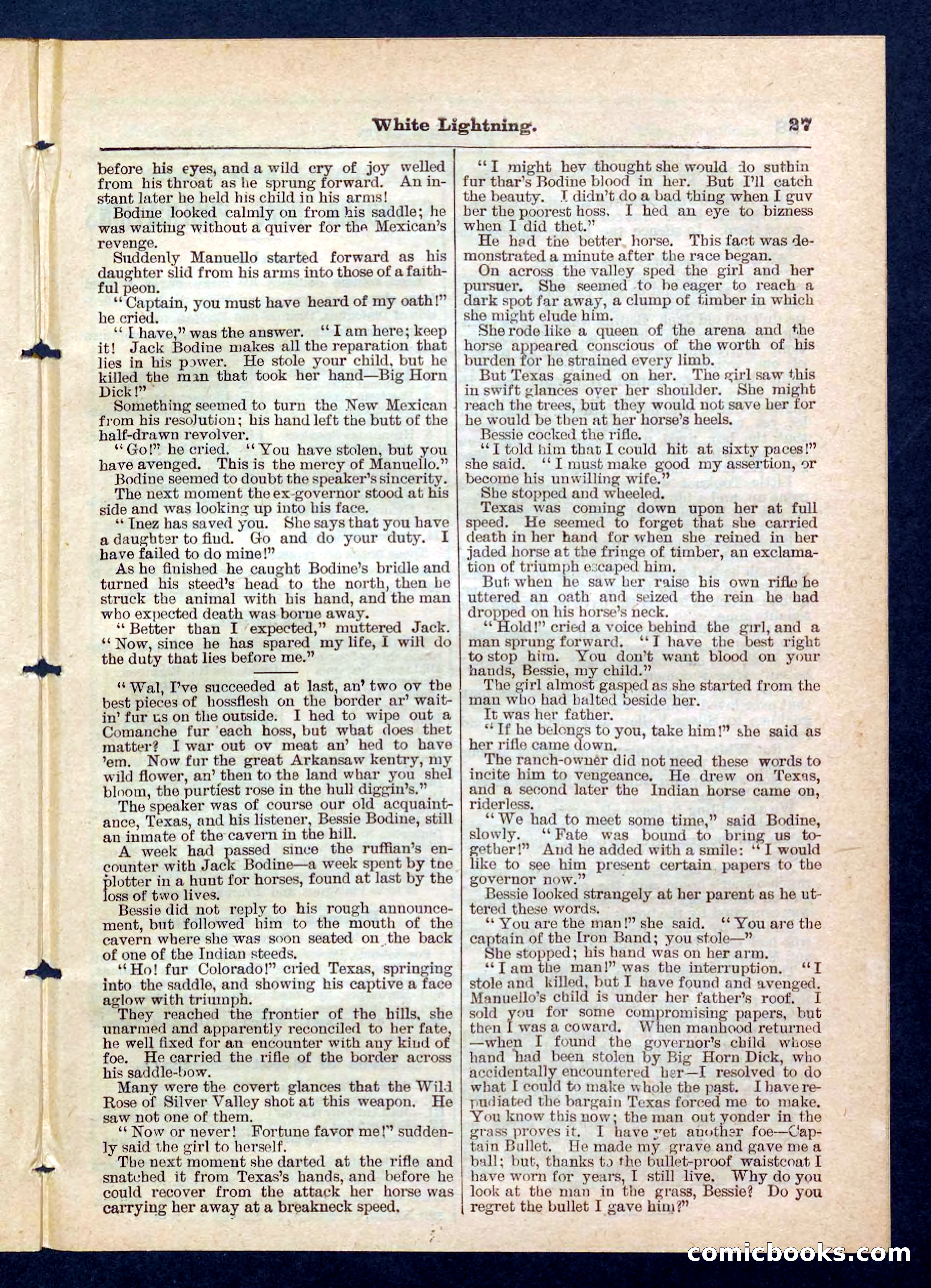 Beadle's Pocket Library No. 206 — page 27 of 32