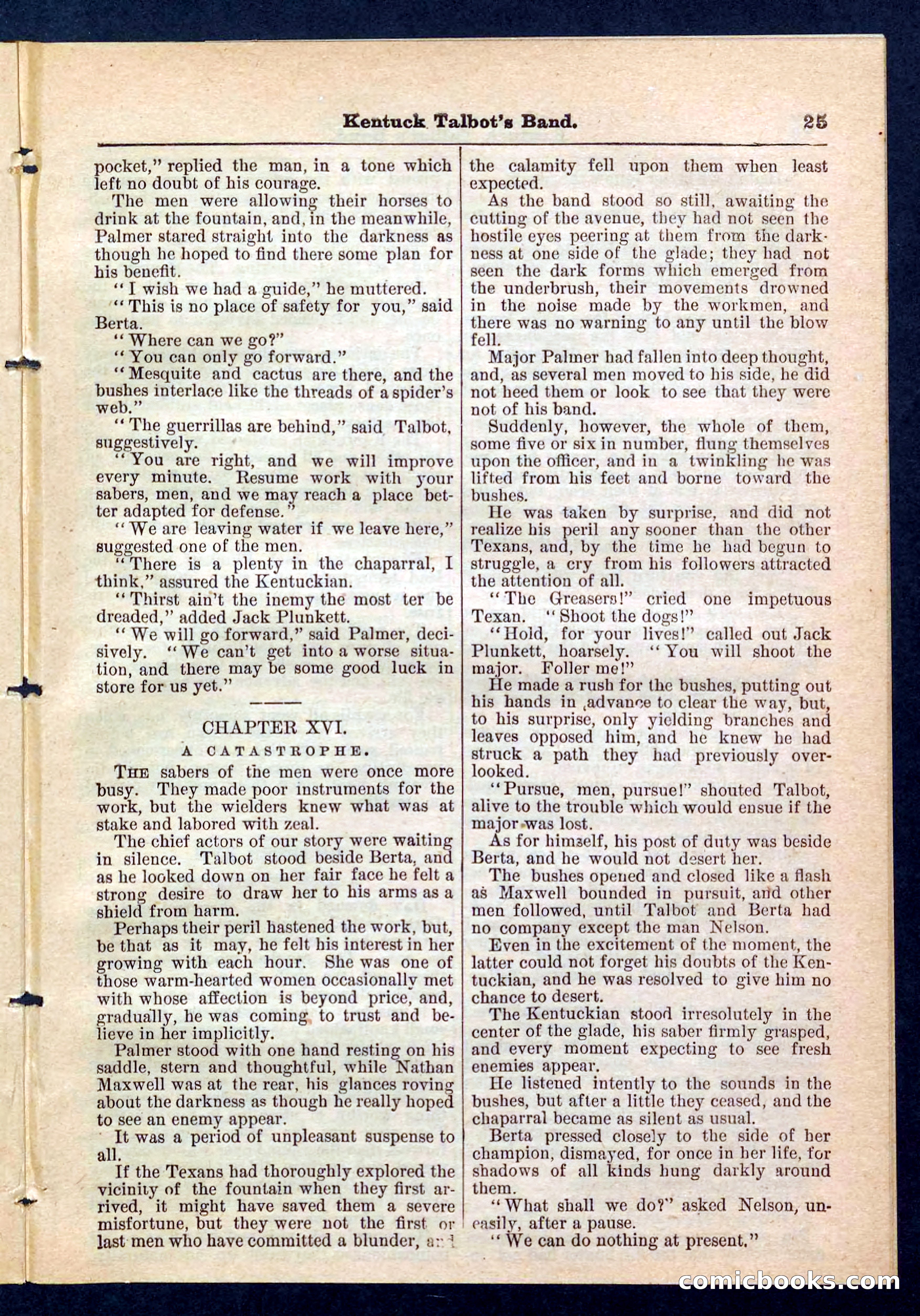 Beadle's Pocket Library, No. 207: 'Kentucky Talbot's Band' — page 25 of 32