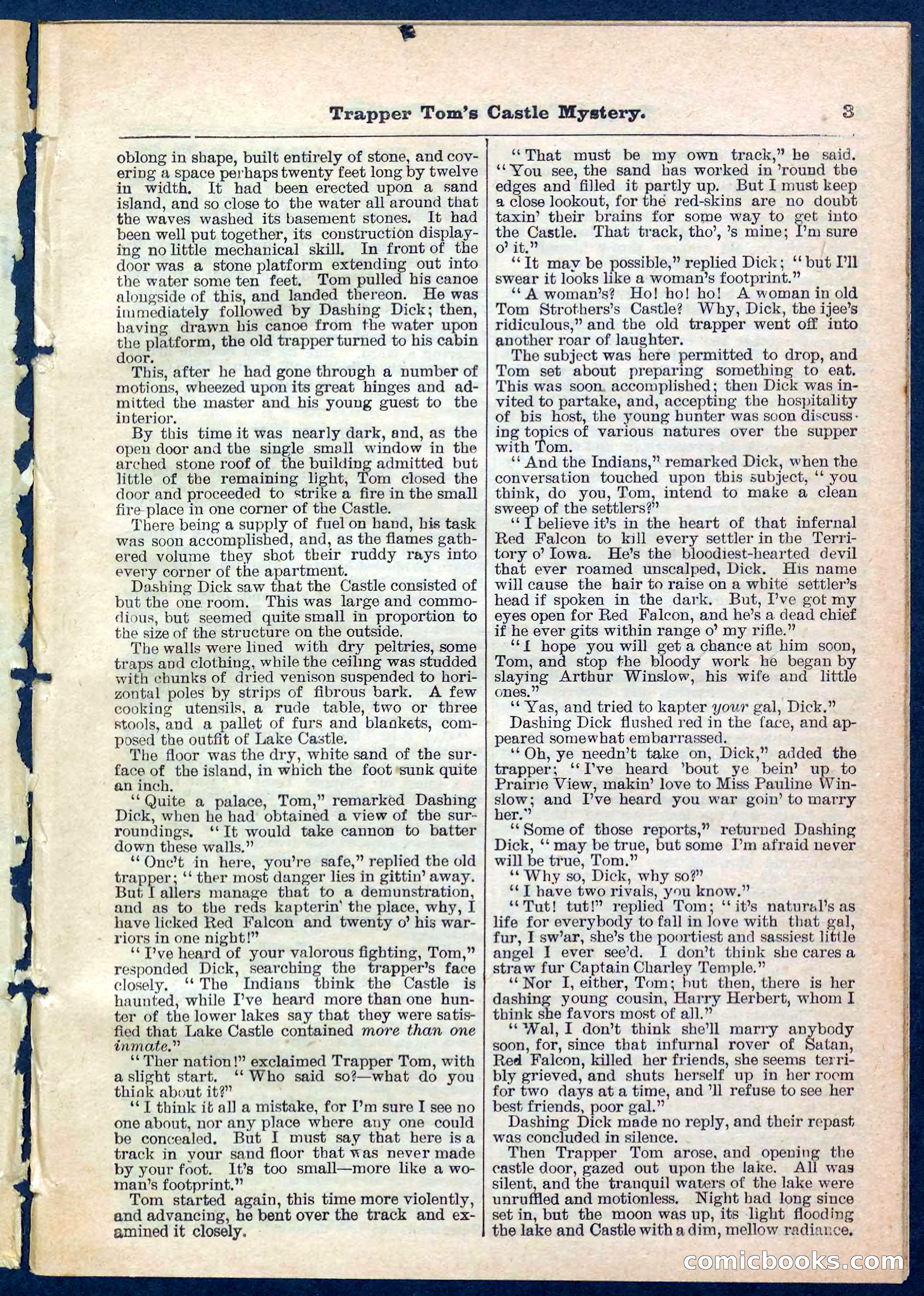 Beadle's Pocket Library No. 208 — page 3 of 32