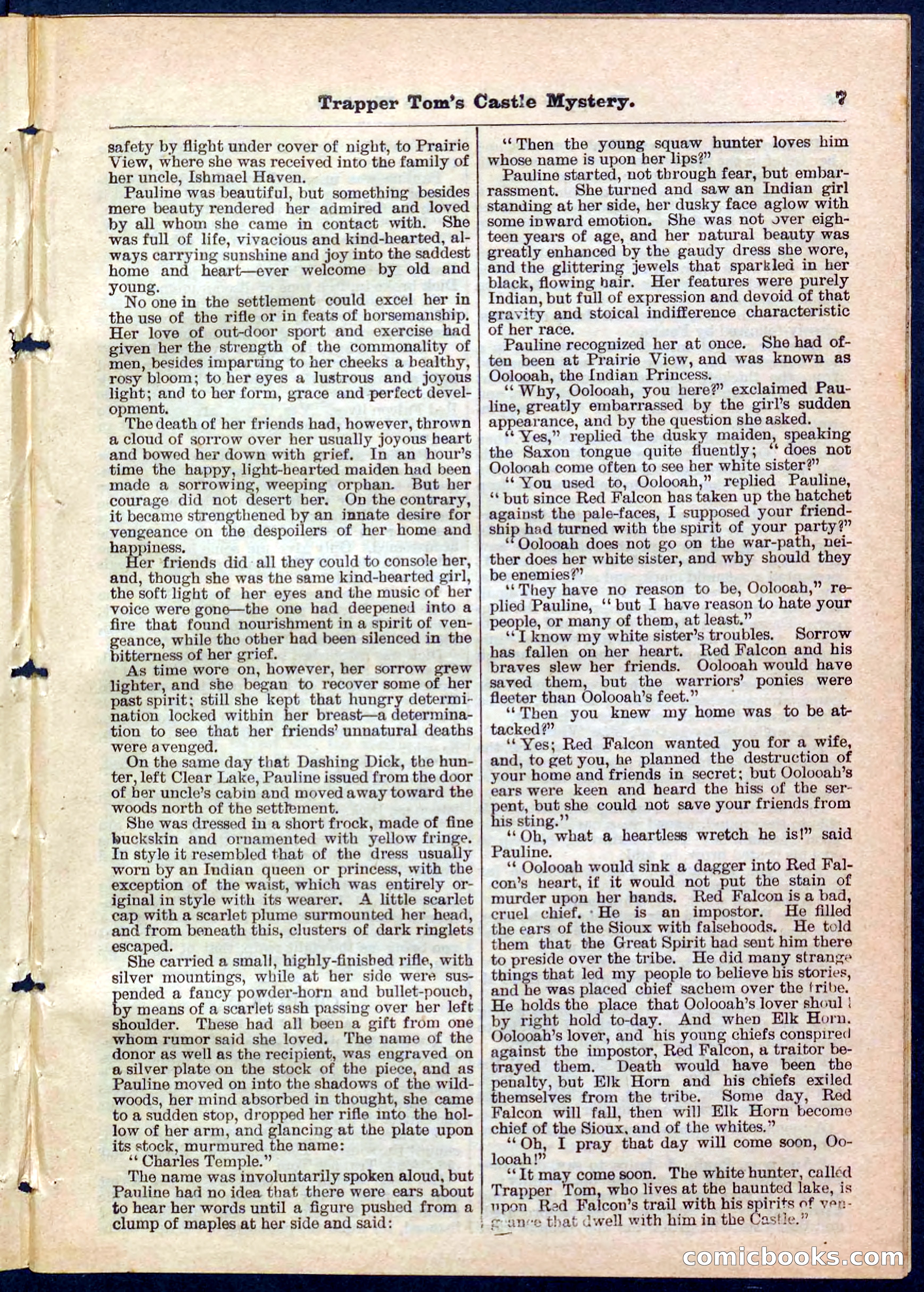 Beadle's Pocket Library No. 208 — page 7 of 32