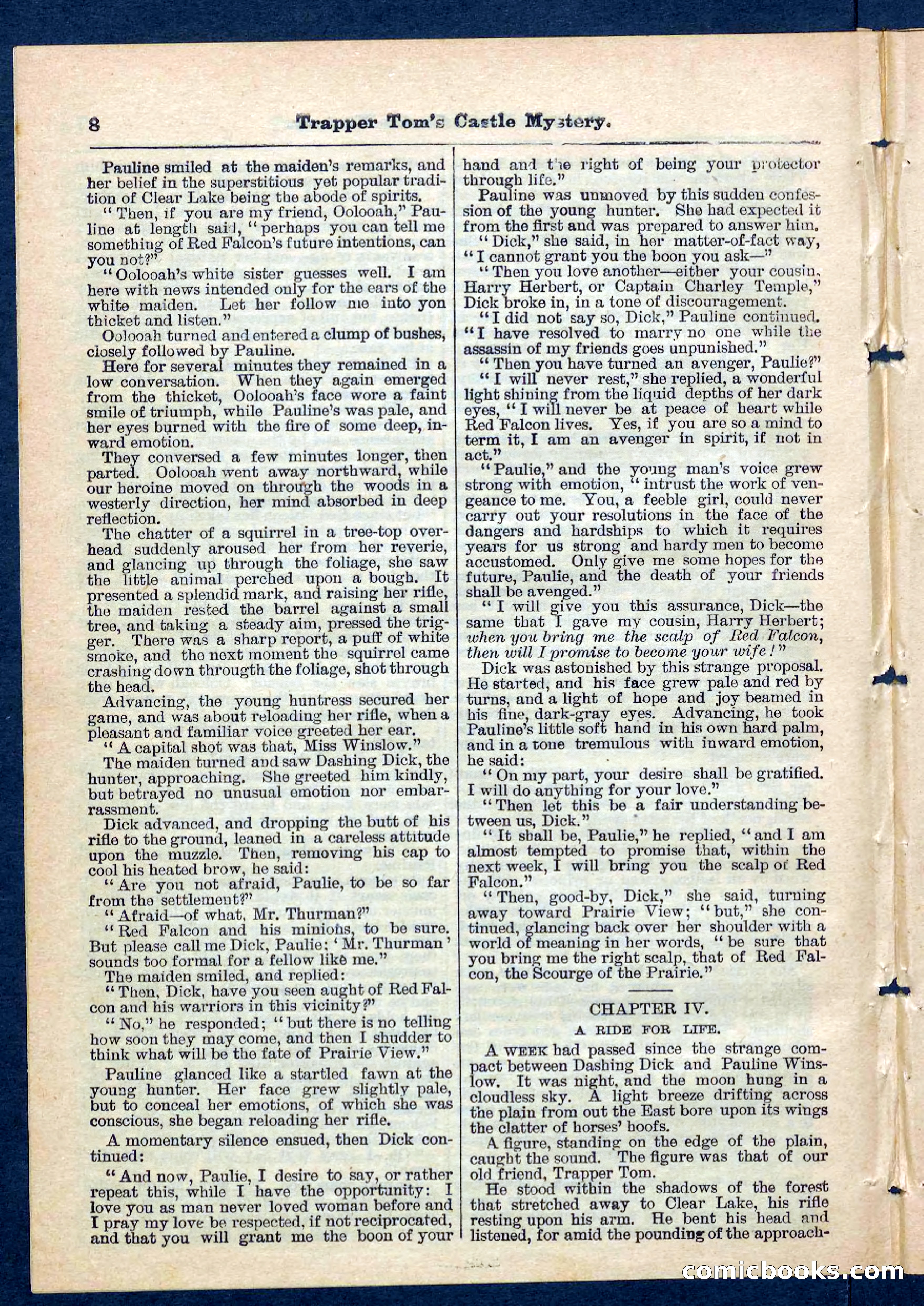 Beadle's Pocket Library No. 208 — page 8 of 32