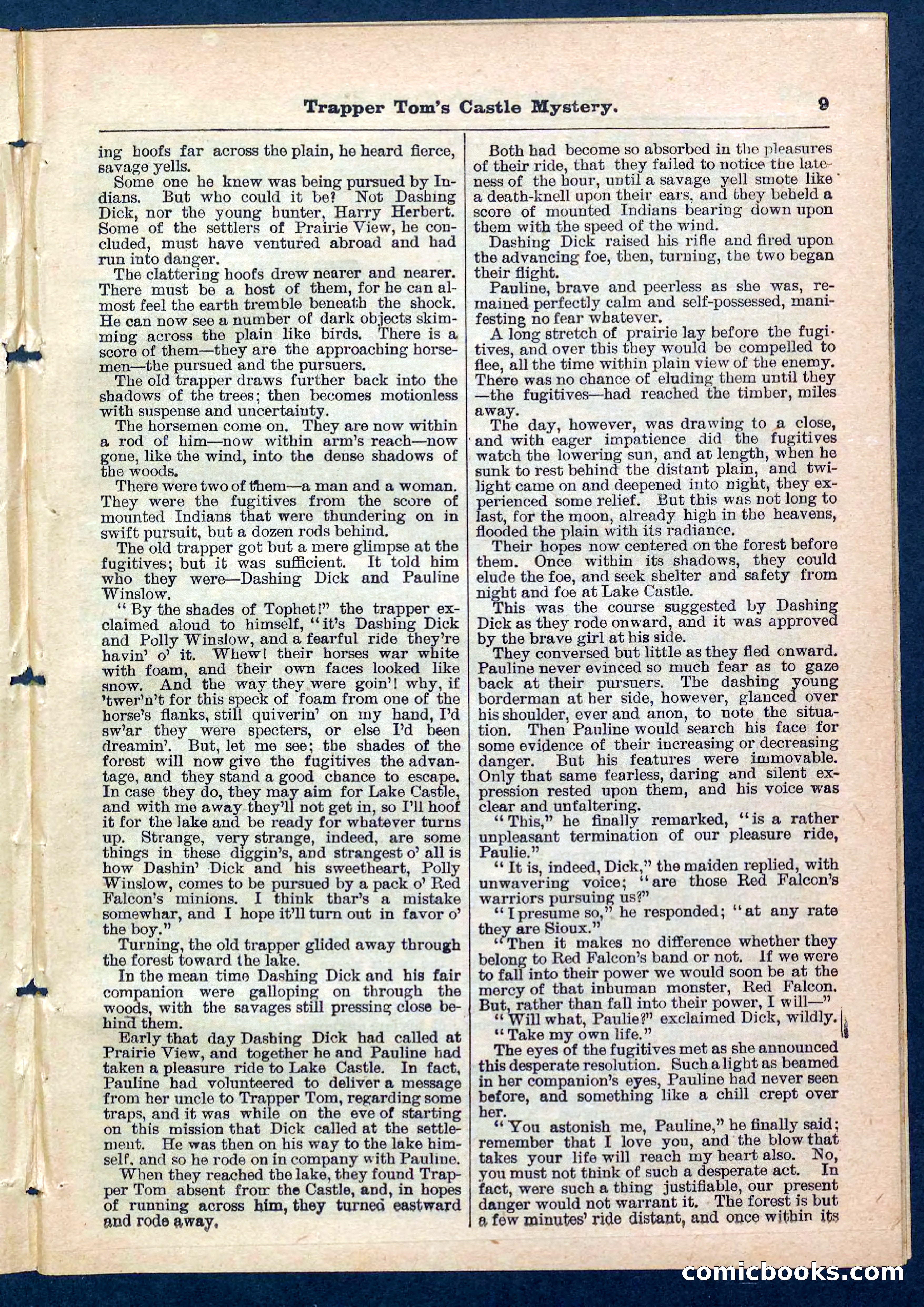 Beadle's Pocket Library No. 208 — page 9 of 32