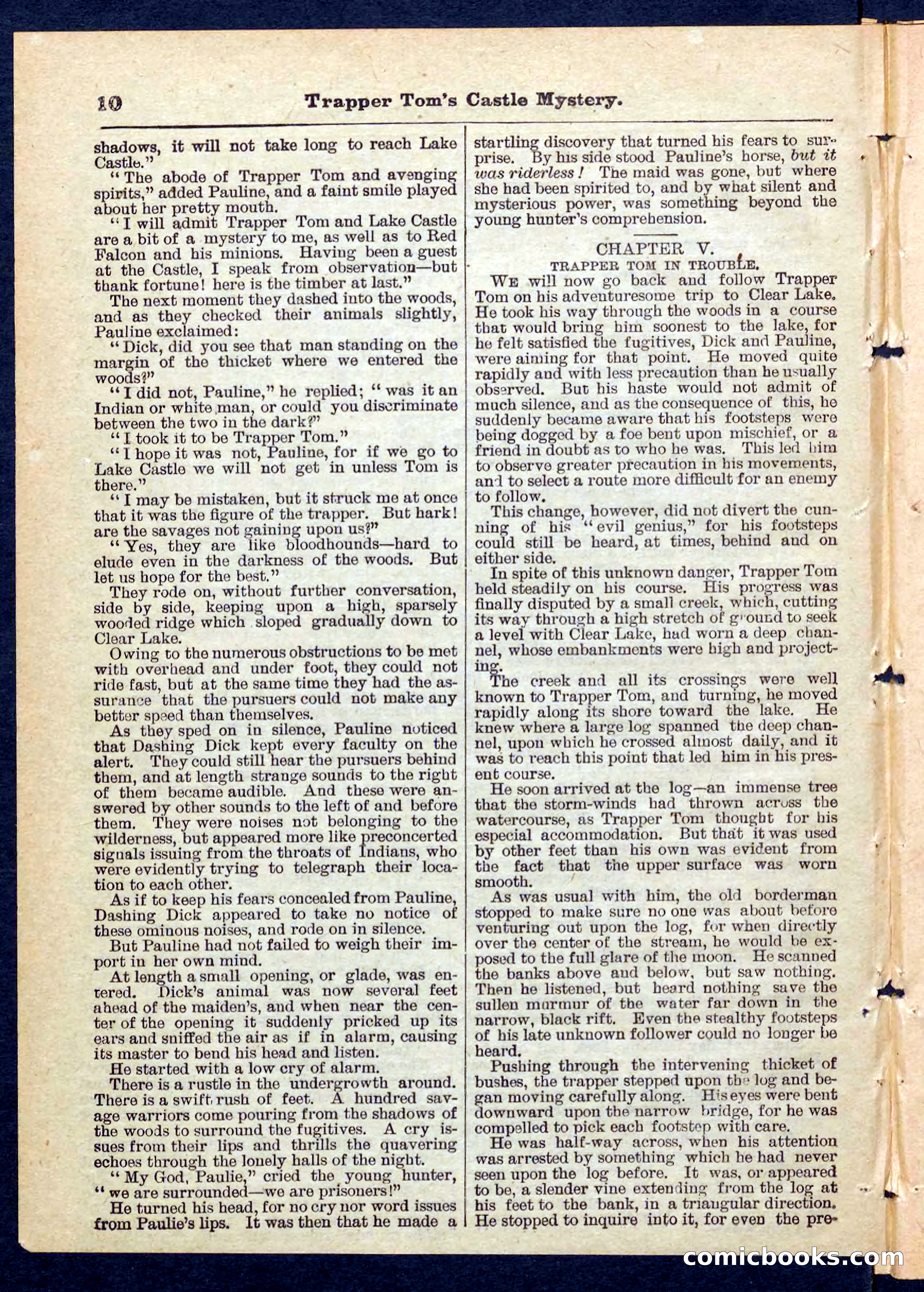 Beadle's Pocket Library No. 208 — page 10 of 32