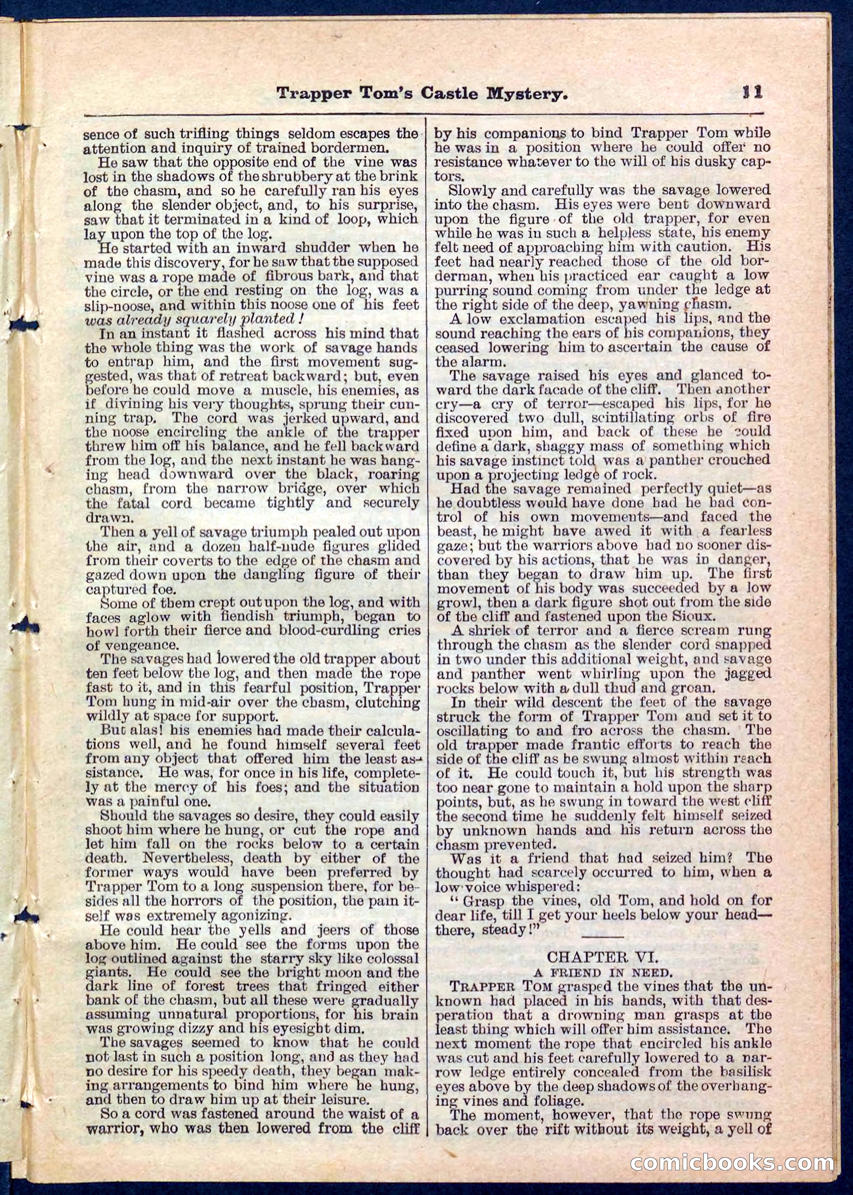Beadle's Pocket Library No. 208 — page 11 of 32