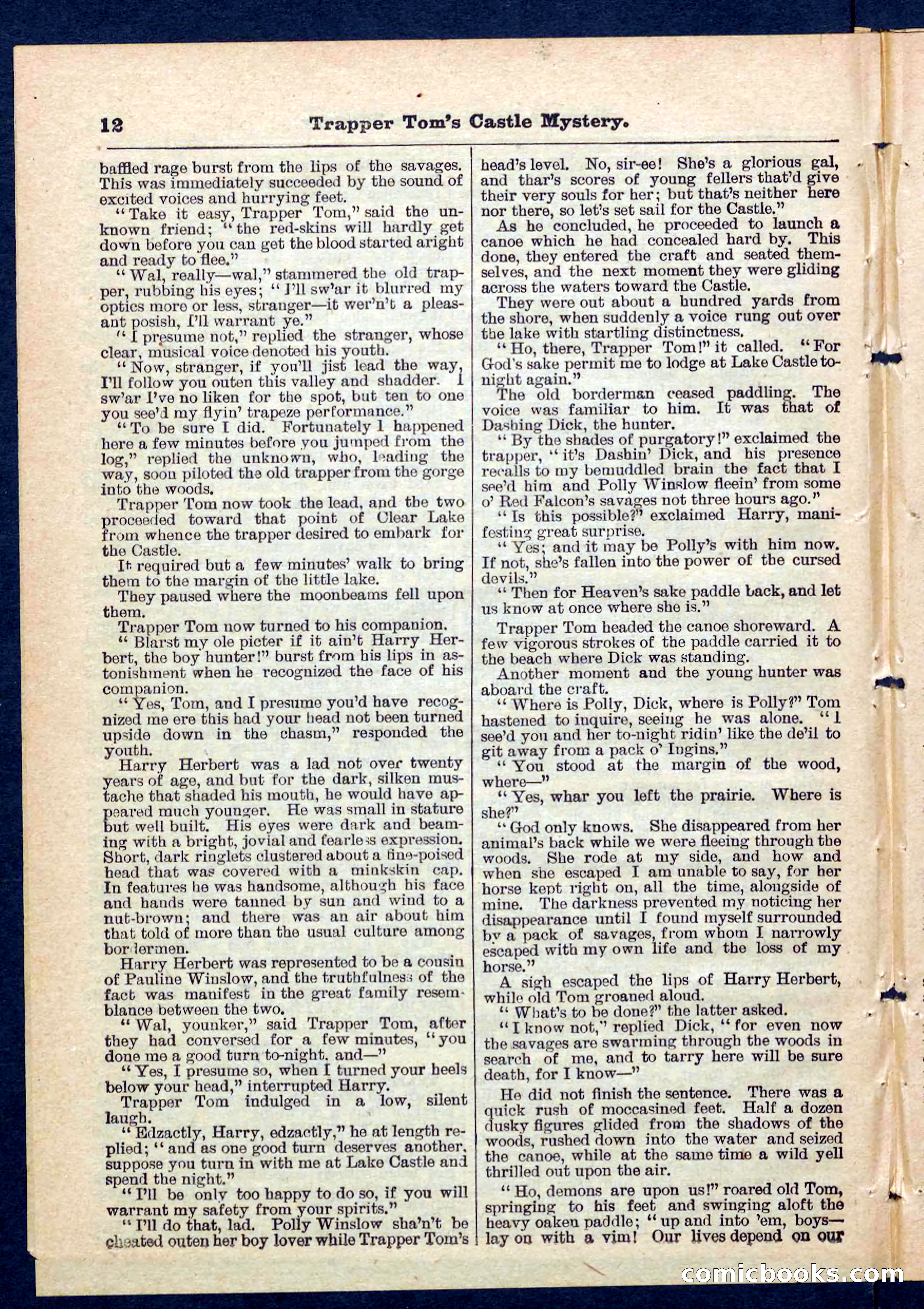 Beadle's Pocket Library No. 208 — page 12 of 32