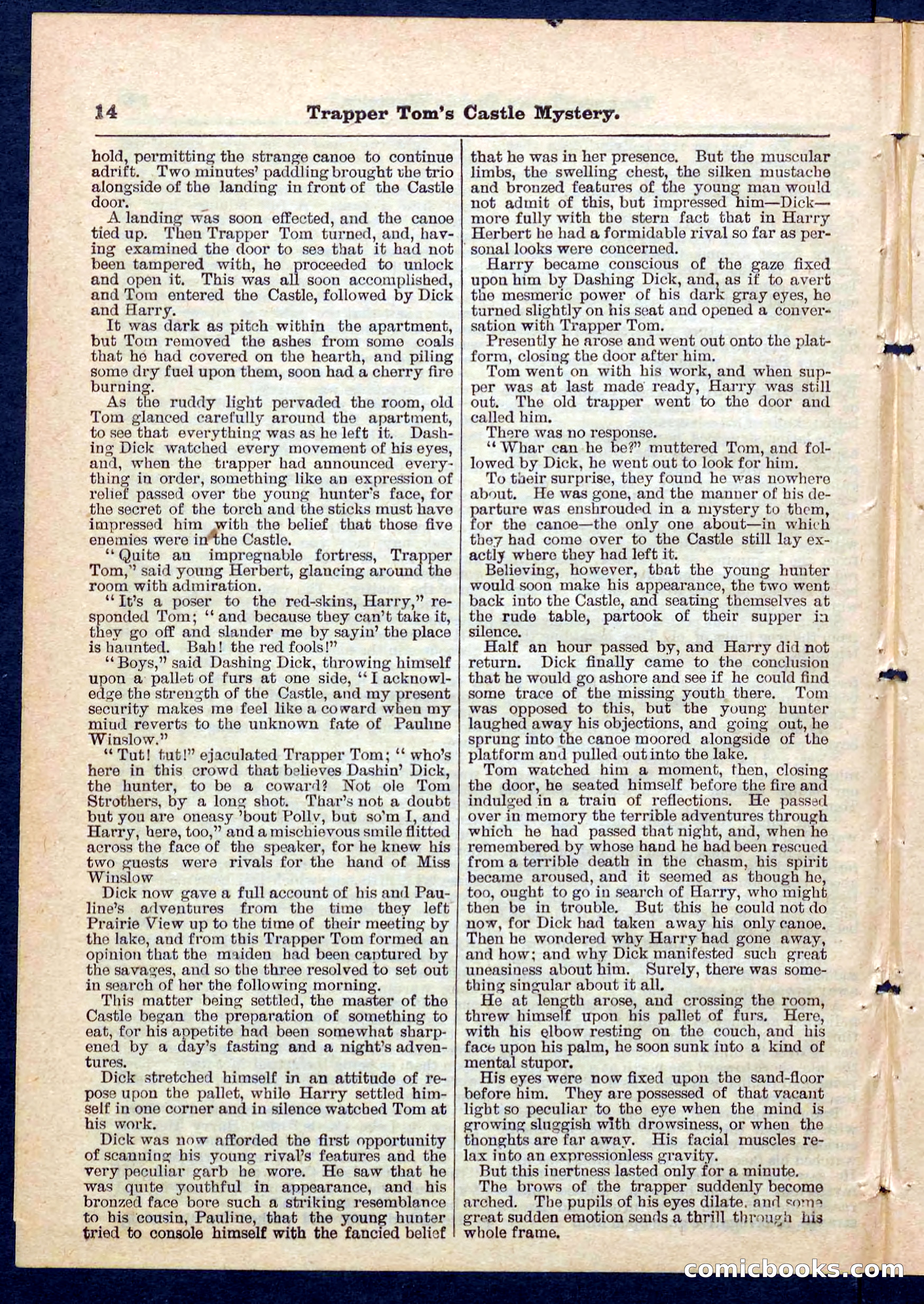 Beadle's Pocket Library No. 208 — page 14 of 32