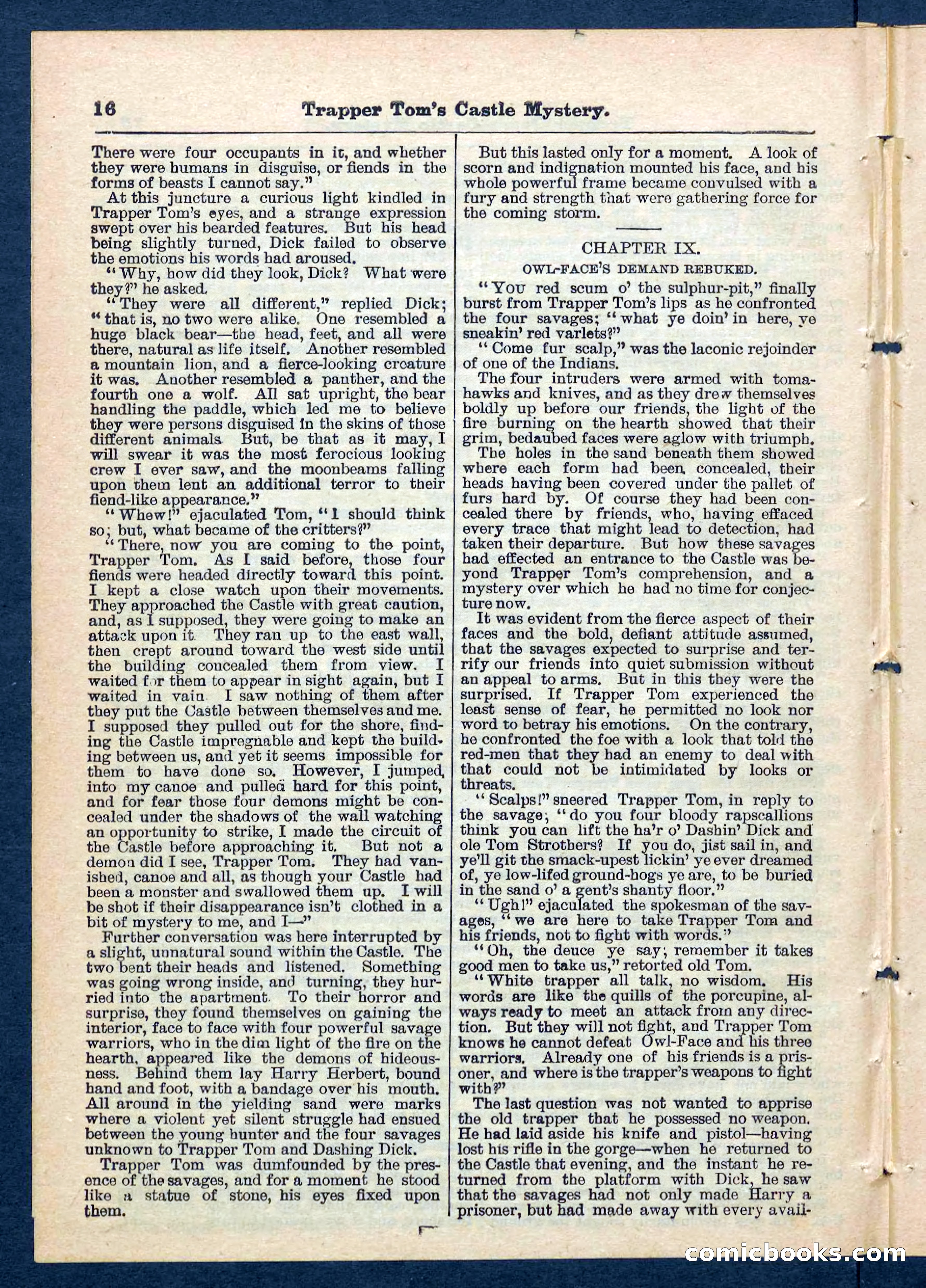 Beadle's Pocket Library No. 208 — page 17 of 32