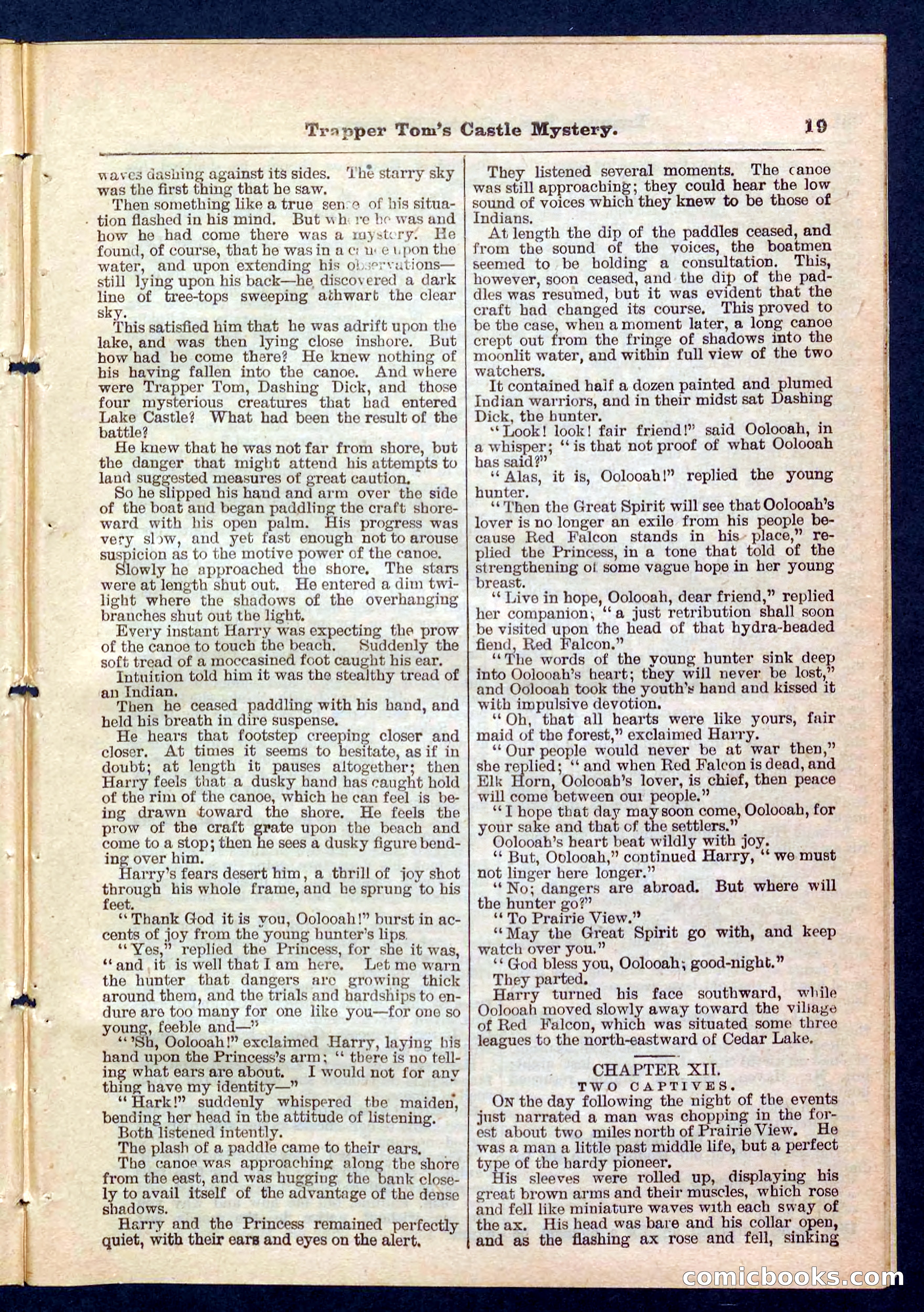 Beadle's Pocket Library No. 208 — page 19 of 32