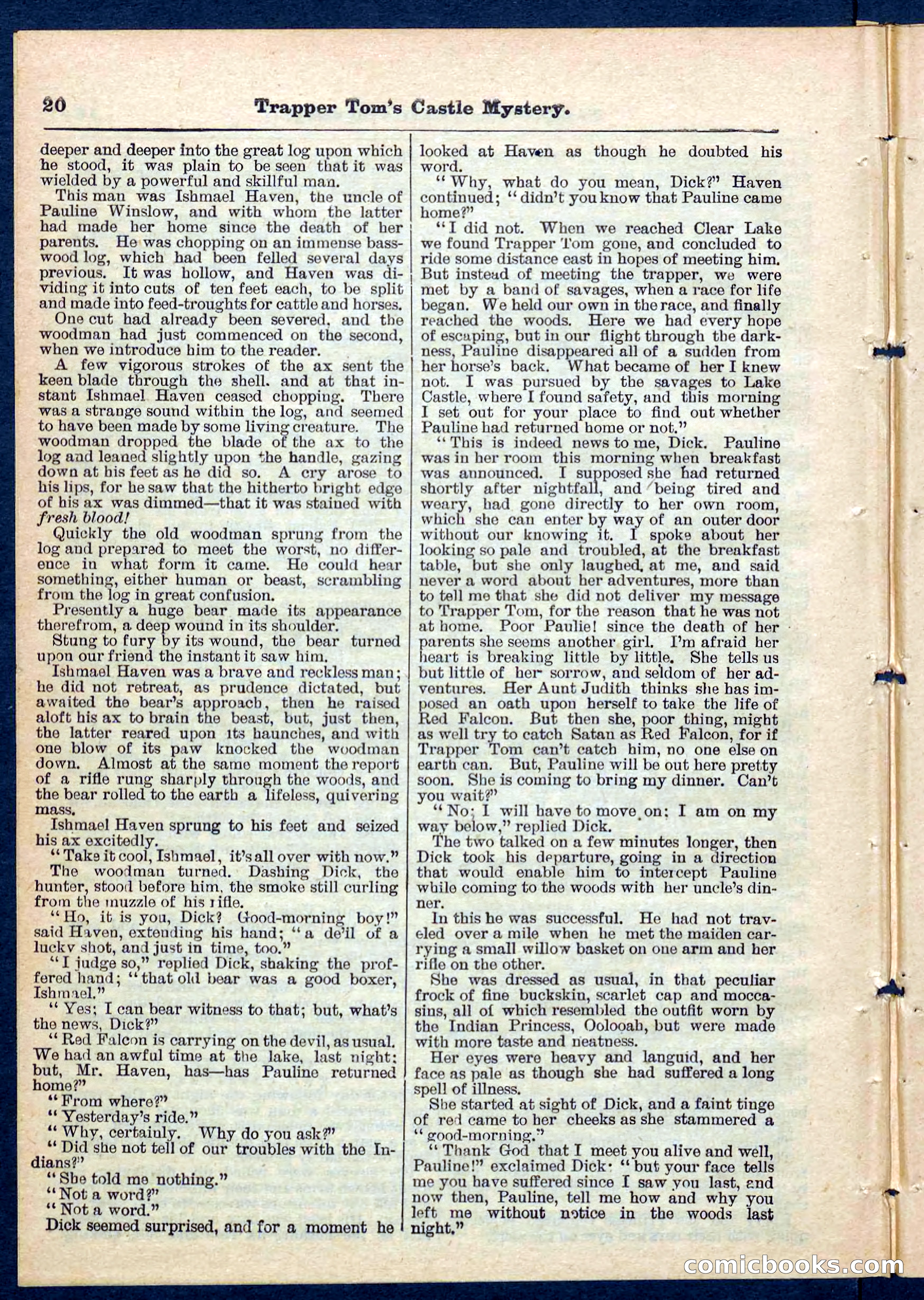 Beadle's Pocket Library No. 208 — page 20 of 32