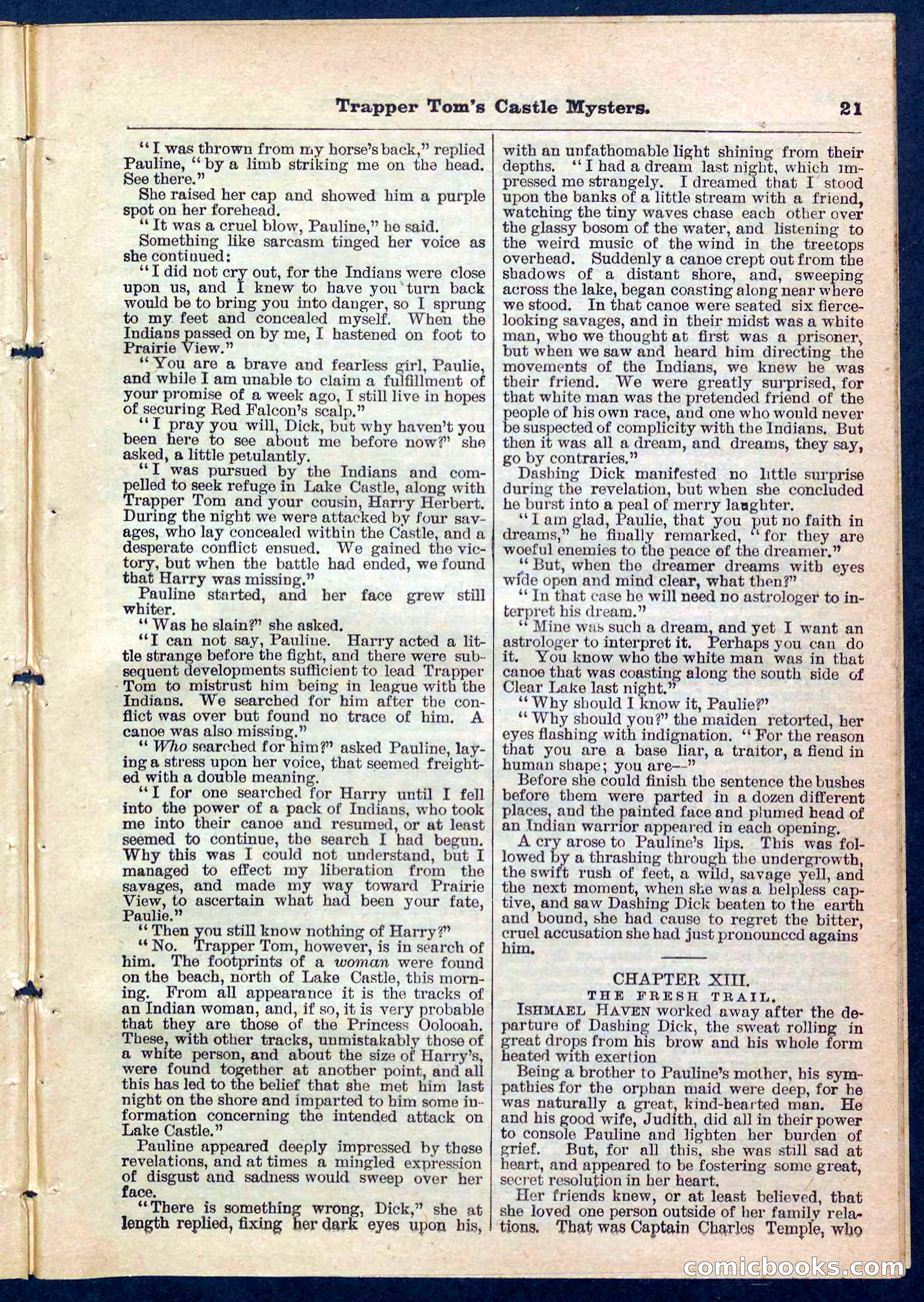 Beadle's Pocket Library No. 208 — page 21 of 32