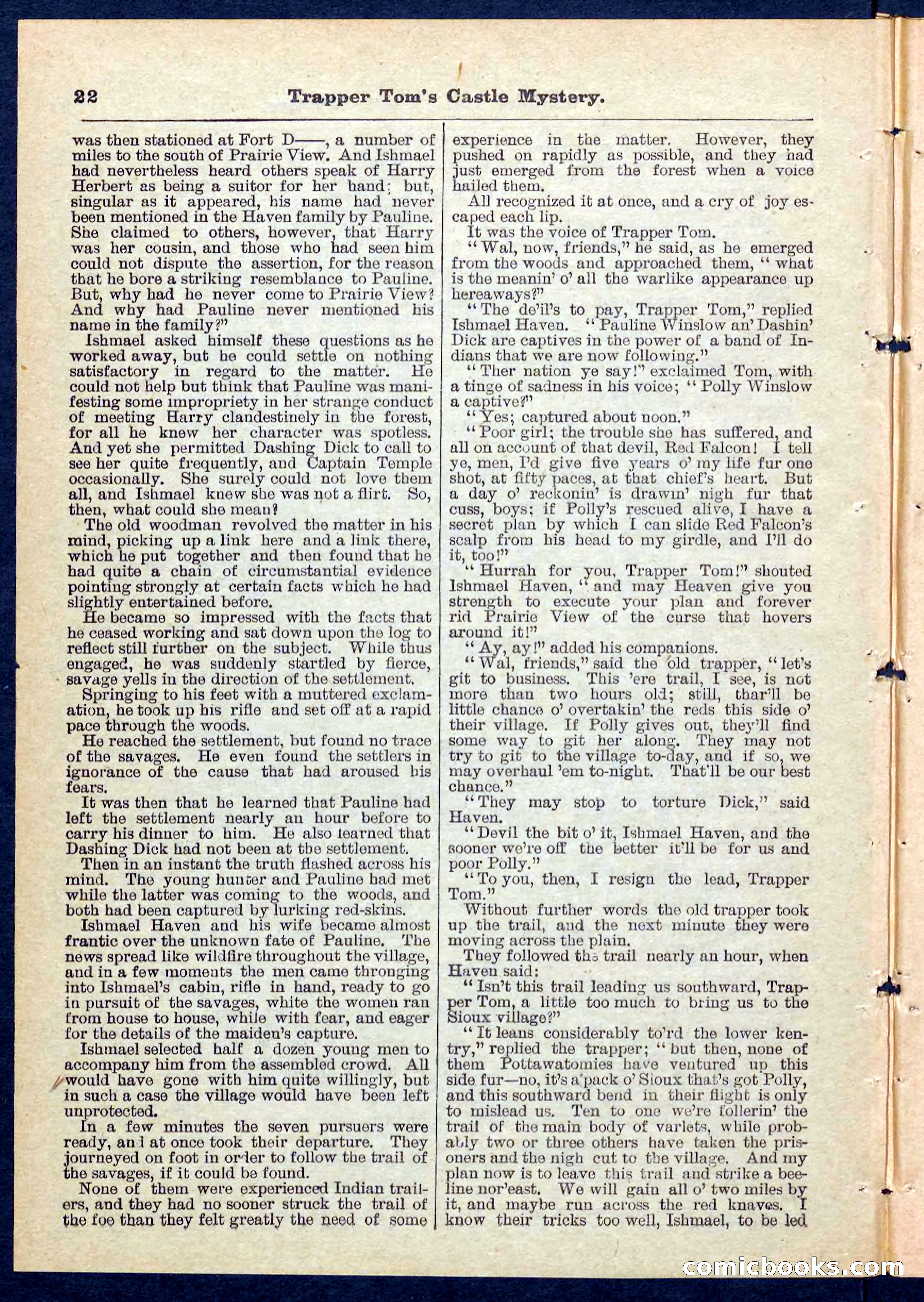 Beadle's Pocket Library No. 208 — page 22 of 32